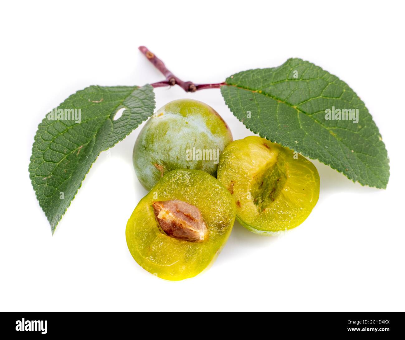 Mirabelle isolated on white background Stock Photo