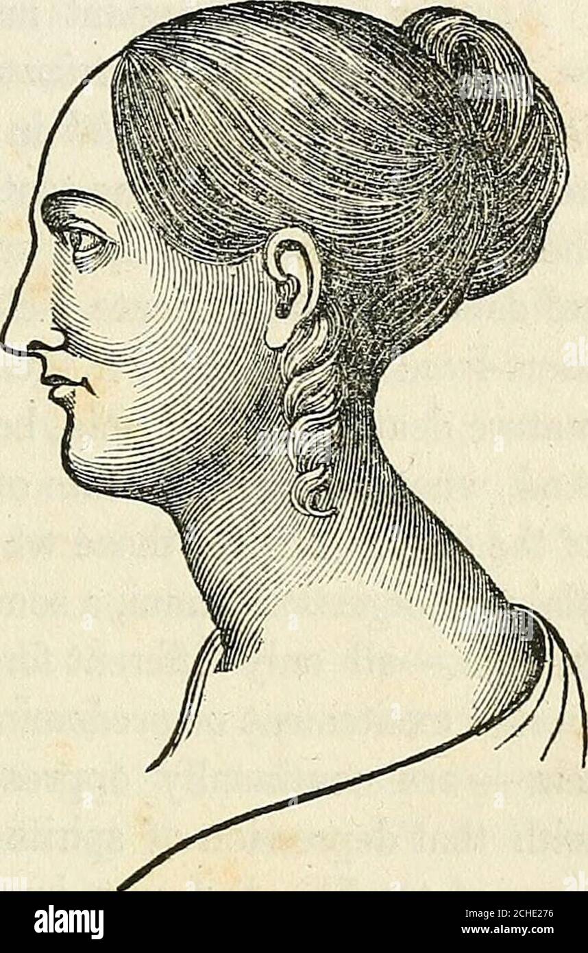 Fowler's Works On Education And Self-Improvement, Cultivation Of The Memory  And Intellect, On Matrimony, Hereditary Descent, Its Laws And Facts,  Natural Religion, Temperance And Tight Lacing : All Founded On Phrenology