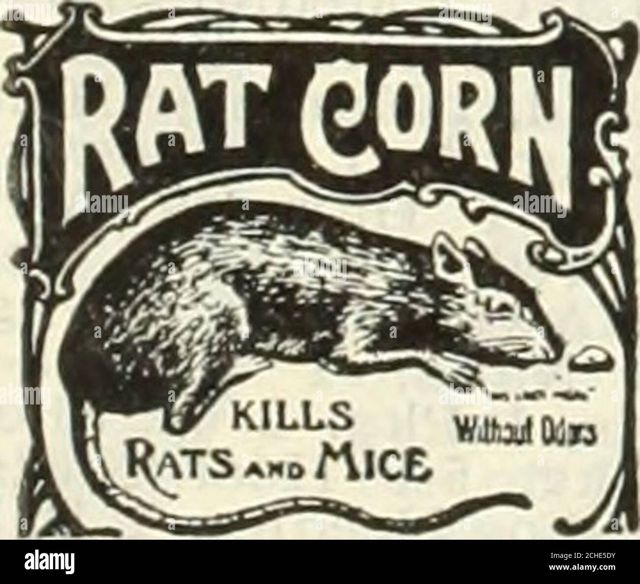 Why Do The Dogs Try To Kill The Rats In Animal Farm