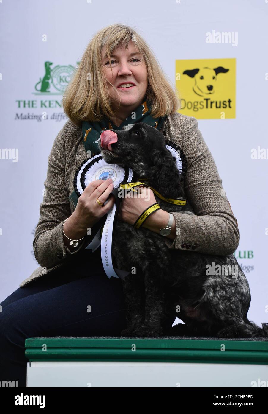 Runner Up This Years Holyrood Dog Year Competition Organised Jointly 