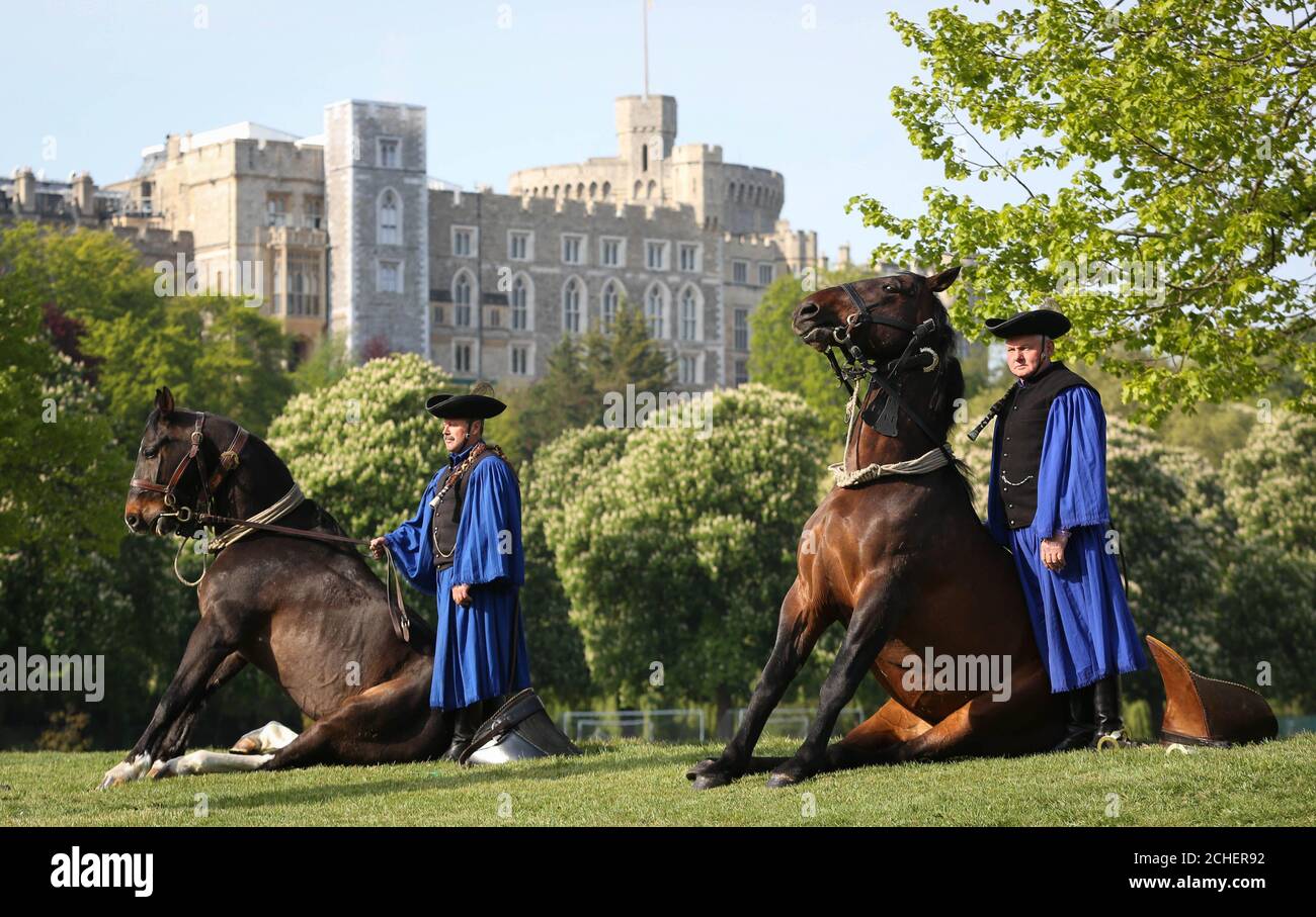 The Hungarian Csik—s, who will taking part in the Royal Windsor Horse Show, which starts tomorrow, and The Victorian Pageant on the evenings of May 9th-11th, in the private grounds of Windsor Castle. Stock Photo