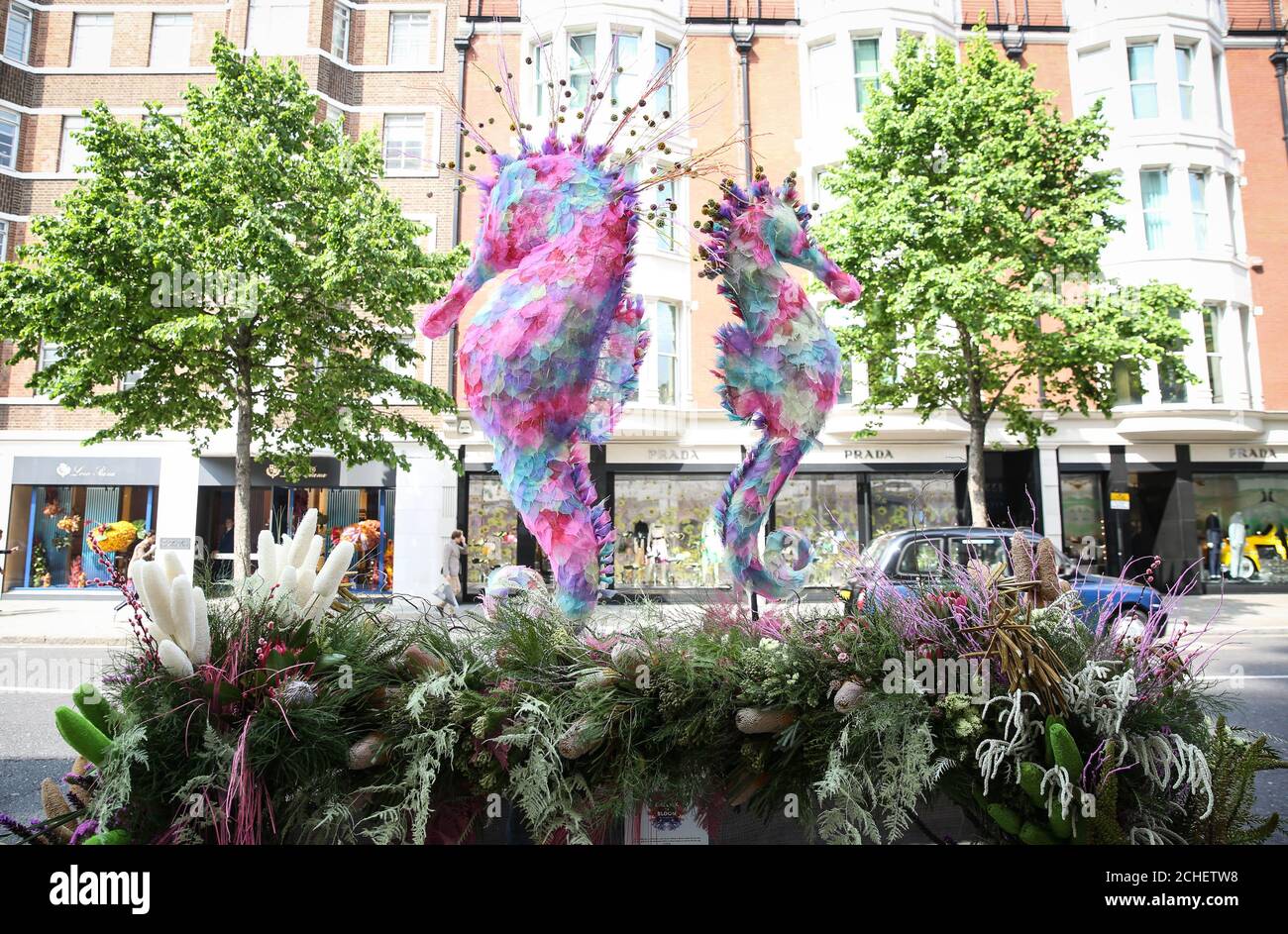 Floral Seahorses on Sloane Street at this year’s Chelsea in Bloom, London’s largest free flower festival in London. Stock Photo