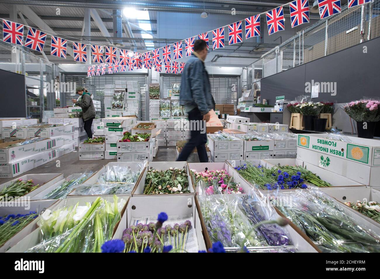 EMBARGOED TO 0001 MONDAY JUNE 10 EDITORIAL USE ONLY A general view of New Covent Garden Flower Market in London, as its traders prepare their stands with seasonal home-grown flowers ready for British Flowers Week, which starts on Monday. Stock Photo