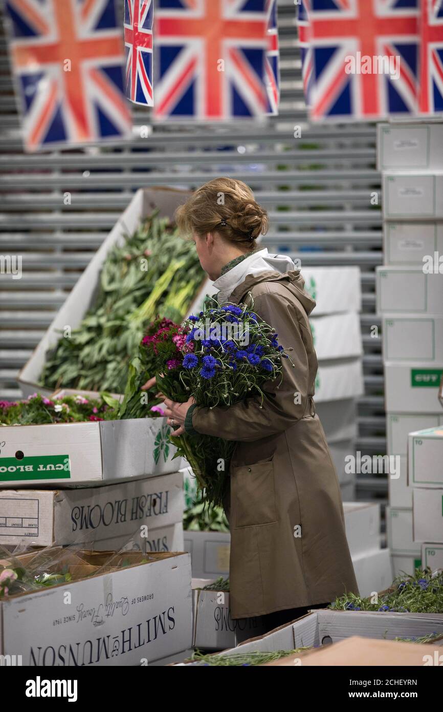 EMBARGOED TO 0001 MONDAY JUNE 10 EDITORIAL USE ONLY A general view of New Covent Garden Flower Market in London, as its traders prepare their stands with seasonal home-grown flowers ready for British Flowers Week, which starts on Monday. Stock Photo