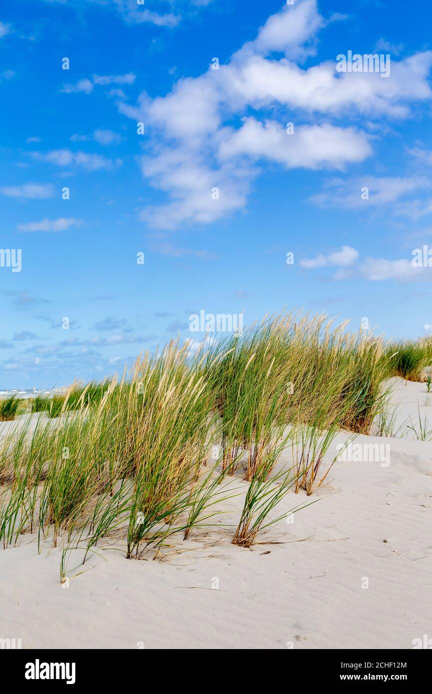 A sunny afternoon at the beach on the East Frisian island Juist, Germany. Stock Photo