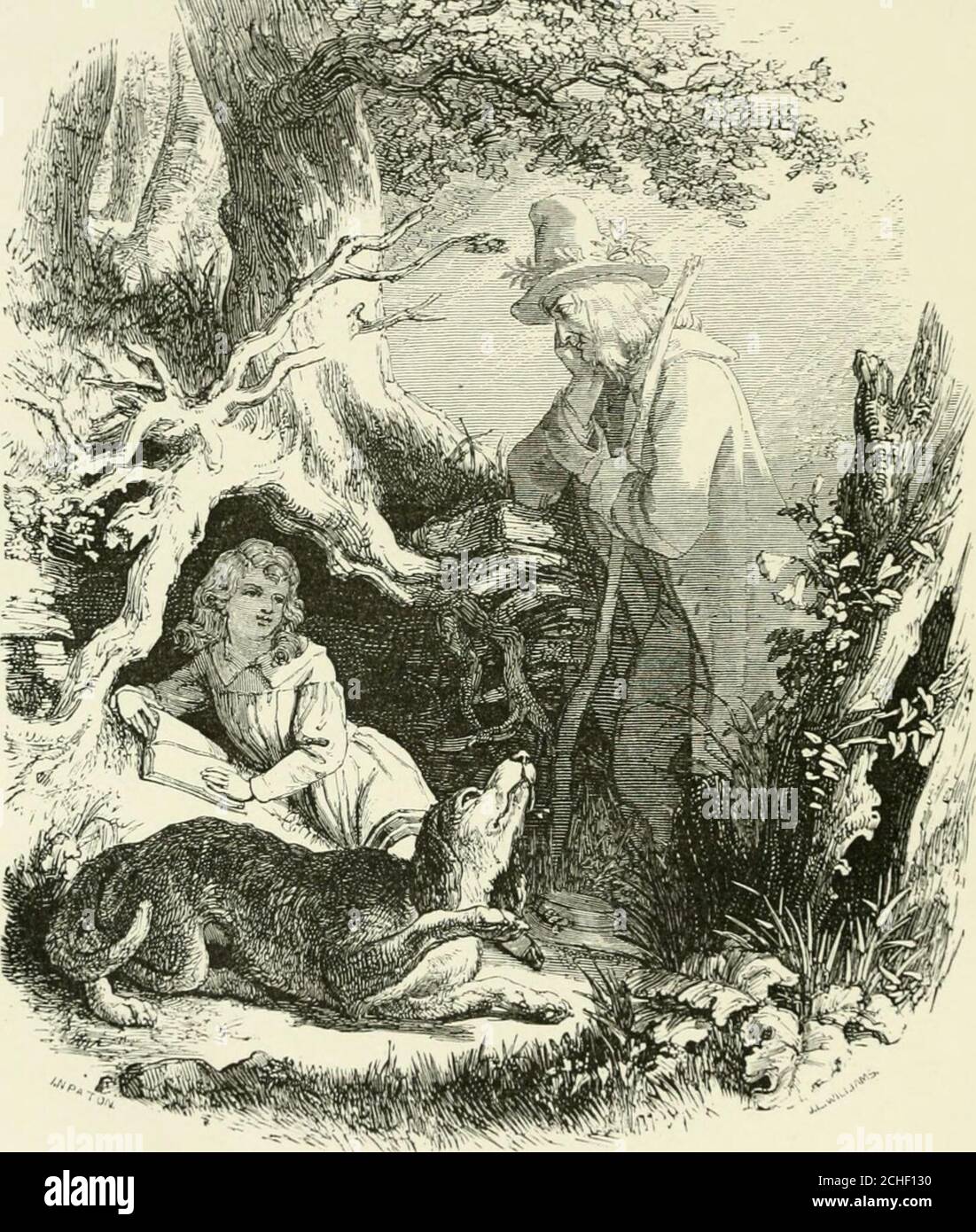 . Midsummer Eve : a fairy tale of loving and being loved . Drawn by Sir J. Noel Paton, R.S.A. Tin: iM)i)cr iTKRs  isr Engraved by J. Williams. -&gt;jJ($rrt7e74-?-, Stock Photo