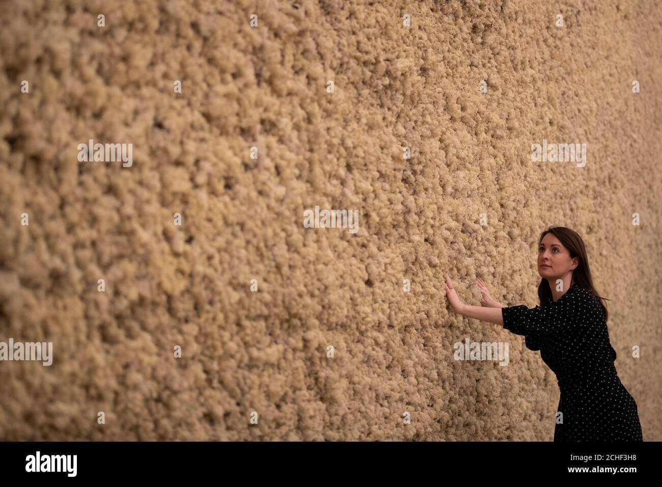 A gallery employee explores moss wall 1994 hires stock photography and
