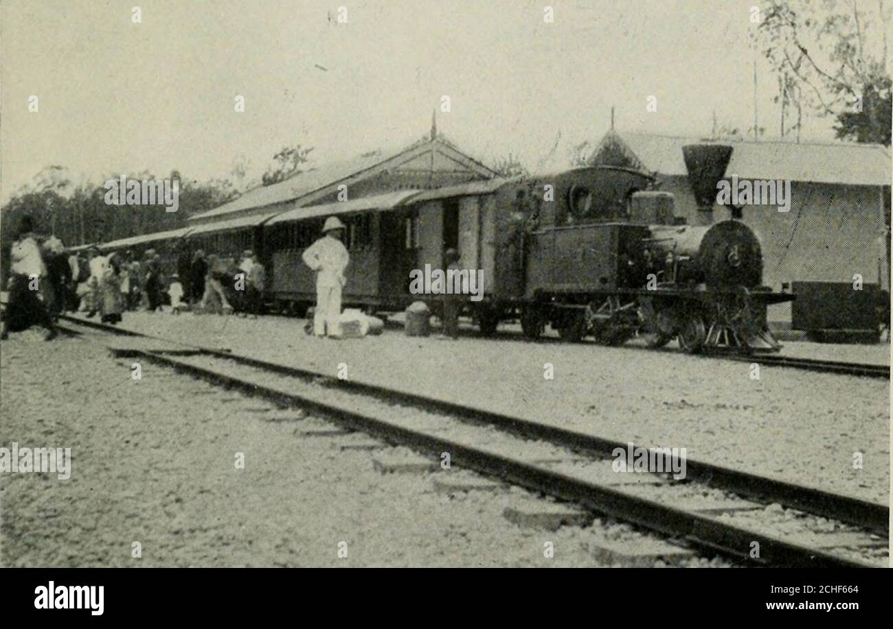 . Java and her neighbours; a traveller's notes in Java Celebes, the Moluccas and Sumatra . f^^sX Photo by Carr M. ThomasUNLOADIXG CATTLE, SUMATRAN COAST. Phutw hy Carr M. ThomasSUMATRAN RAILWAY TRAIN AT KWALA LANGSA NORTH SUMATRA PORTS 337 The last two stops of the steamer were productiveof even less satisfactory results than that at Sigli.At Lho Seumawe, in an atmosphere of malariaand fever, there is a small settlement of Euro-peans and a large colony of Chinese, but not asingle attractive feature, natural or artificial. Westopped for a day to discharge cargo and to takeon a consignment of th Stock Photo