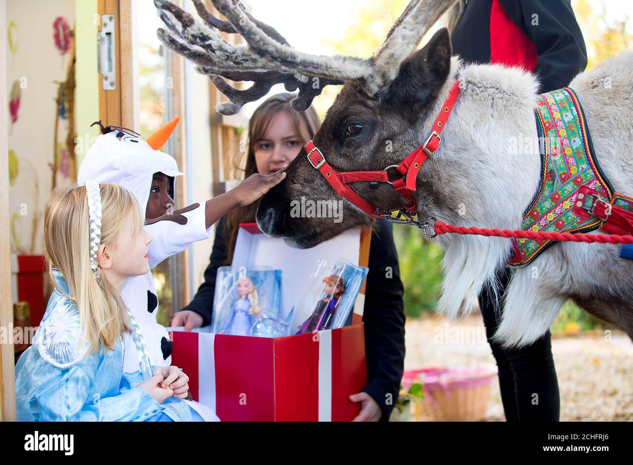 Frozen sven disney hi-res stock photography and images - Alamy