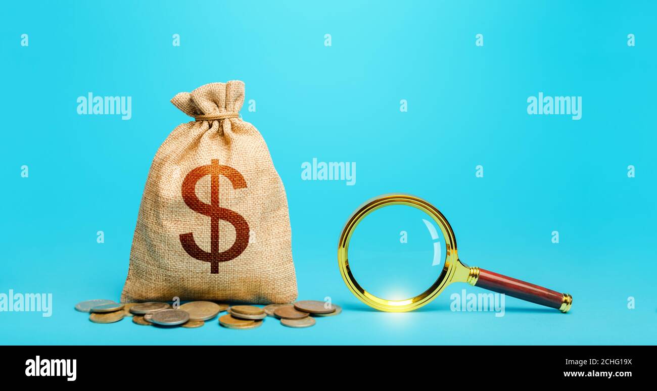 Dollar money bag and magnifying glass. Revising the budget to save money. Most favorable conditions for deposits, loans. Search for financing. Financi Stock Photo