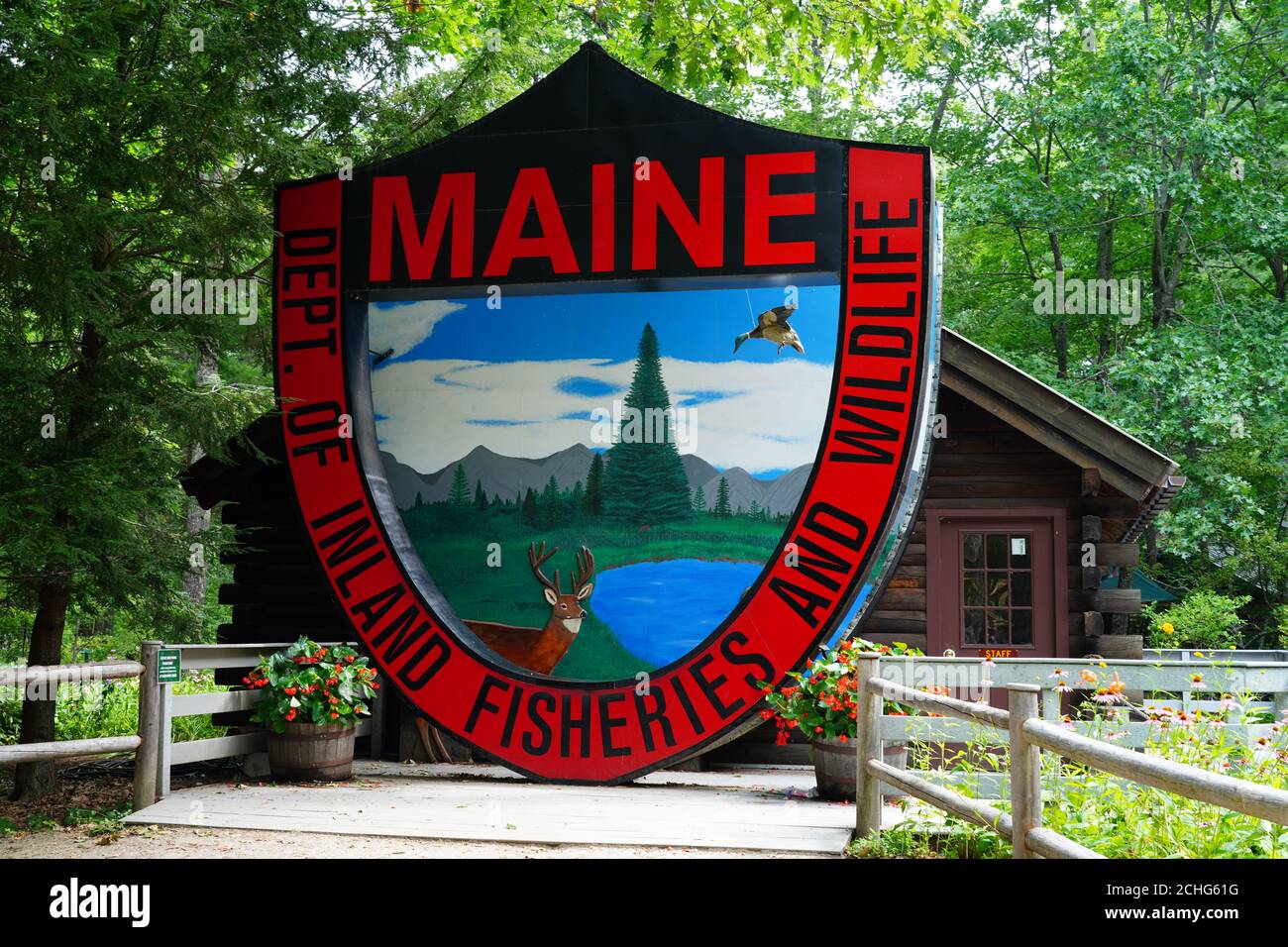 GRAY ME 9 AUG 2020 View of the Maine Wildlife Park a sanctuary ran by the Maine Department of Inland Fisheries and Wildlife located in Gray Maine Stock Photo Alamy