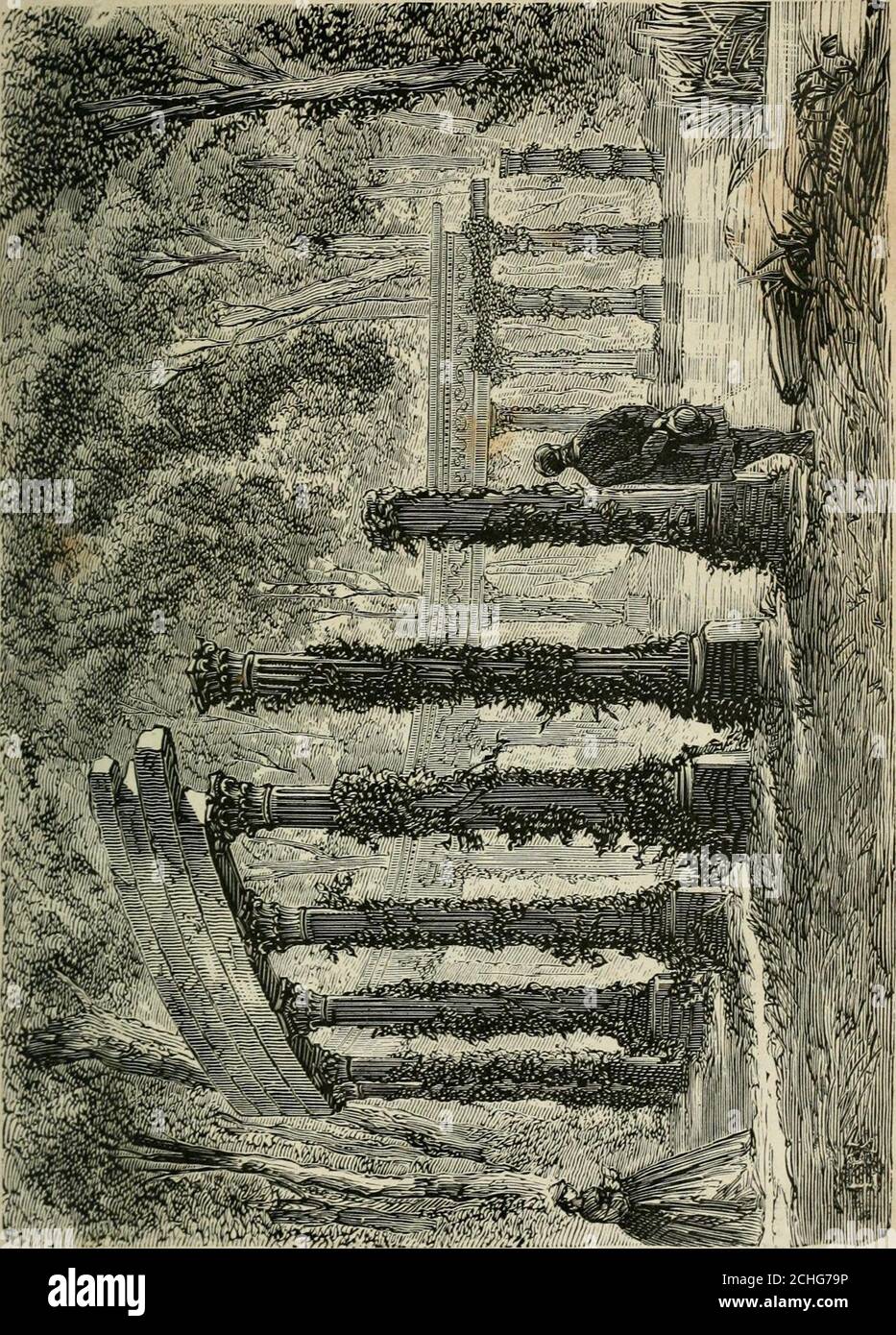 . Les merveilles du nouveau Paris-- . levards extérieurs. La vieille rue de lÉcole-de-Médecine doit subir un chan-gement qui fera tomber une maison célèbre : cest cellequhabitait Marat, lorsquil fut poignardé par CharlotteCorday.Dans lorigine, en 1308, elle sappelait rue des Corde-liers, dun couvent de cet ordre situé sur lemplacement actuelde lécole de Médecine et où se tint, lors de la Révolution, unclub fameux qui fournit les Danton, les Hébert, etc. La rue du Bac qui, de la Seine se dirige vers le sud parune ligne tortueuse, prend son nom du bac placé autrefois àcet endroit et qui servait Stock Photo