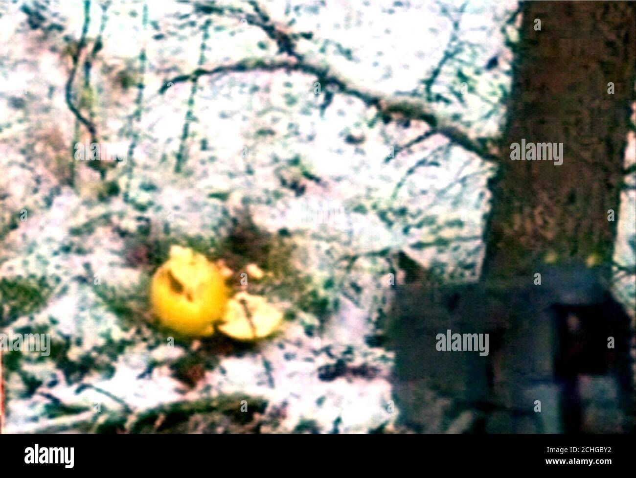 Picture taken from internet website YouTube of teenage gunman, Pekka ...