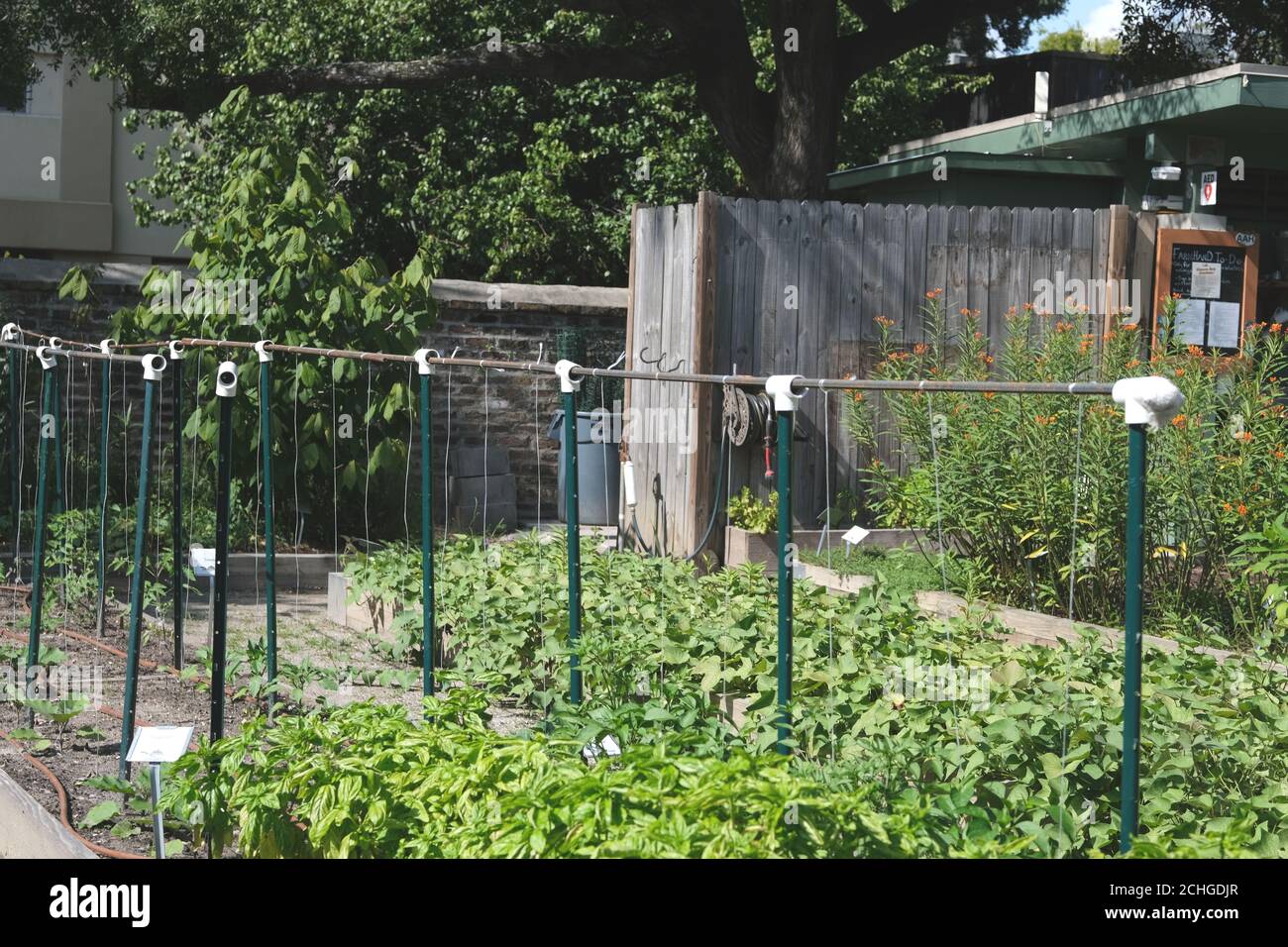 Urban Rain Gardens Are Very Popular (There Are 4 in My Immediate Area ...