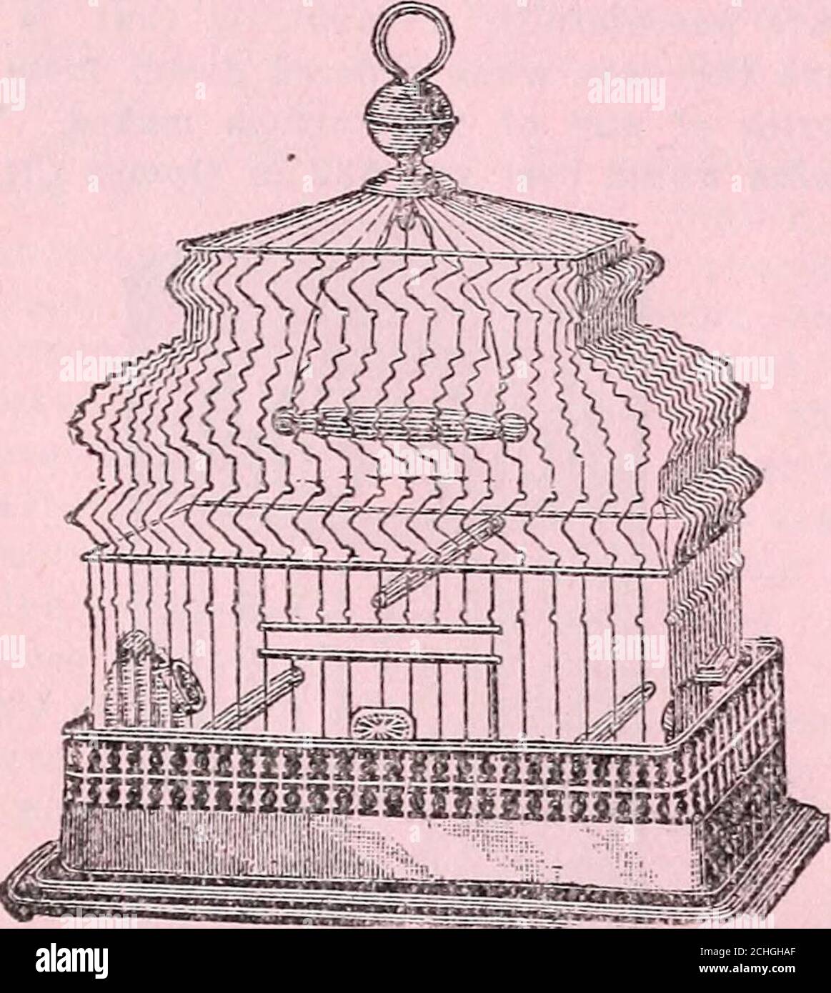 . Steckler's seeds : 1905 . FANCY, EXTRA HEAVY BRASS WIRECANARY CAGES. No. 23. each SI 55 No. 22. each 1 25 No. 24. each 1 75 No. 231, each 1 50 Shield Cups 10 Old Cups 10 D. P. Cups 15 N. B. Brackets 25 Male Canary Birds. Singers 2 75 Females 1 50 Manns NewChicken Fount. Green Bone Cutter. CHICKEN FOUNTS. 1-4 gallon E. H. M. Founts, each So Vo gallon E. H. M. Founts, each 40 1 gallon E. H. M. Founts, each 75 2 gallon E. H. M. Founts, each 1 00 V4 gallon M. L. Founts, each 50 1 gallon M. L. Founts, each 80 % gallon W. R. Founts, each 60 1 gallon W. R. Founts, each 70 2 gallon W. R. Founts, ea Stock Photo