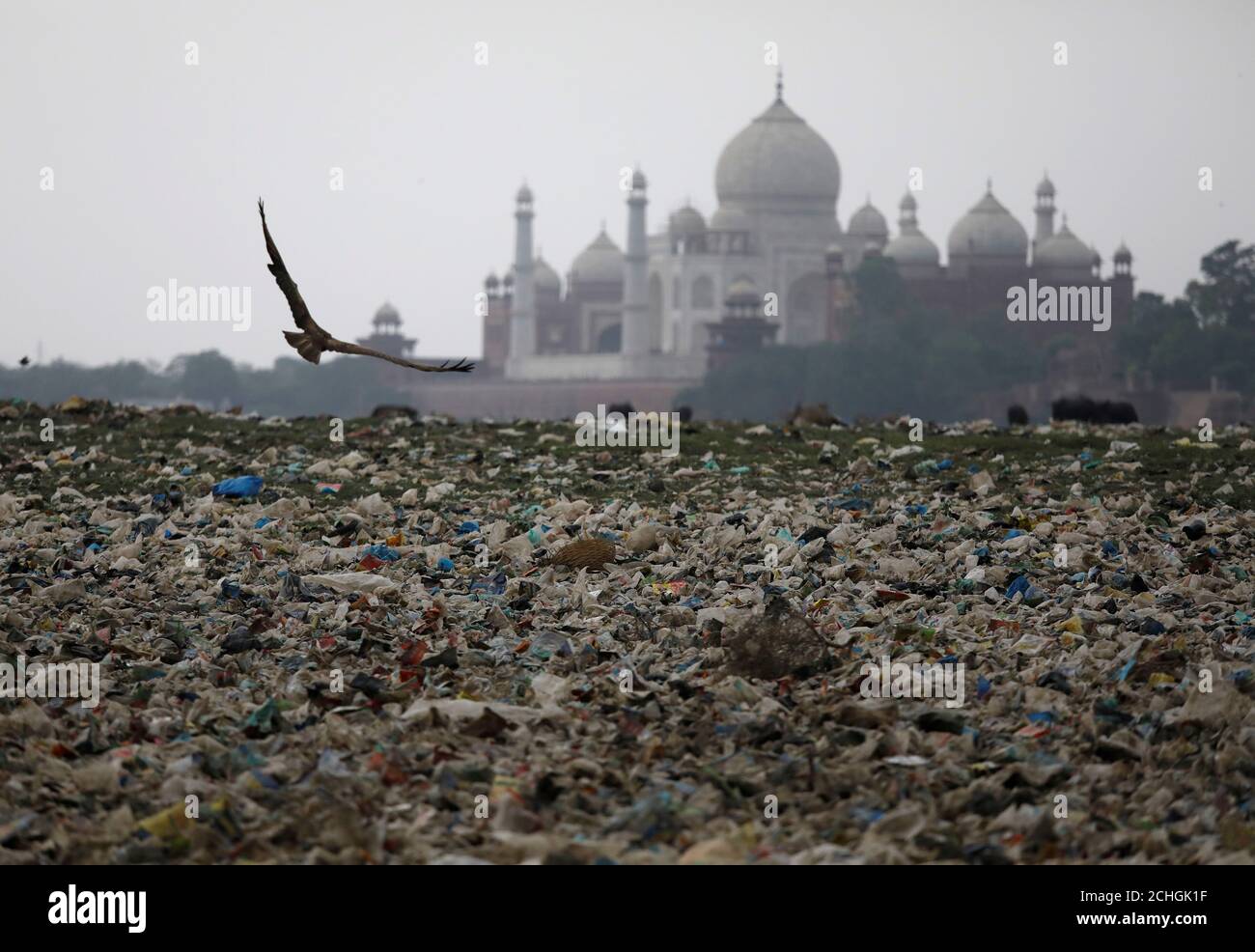 Yamuna river agra pollution hires stock photography and images Alamy