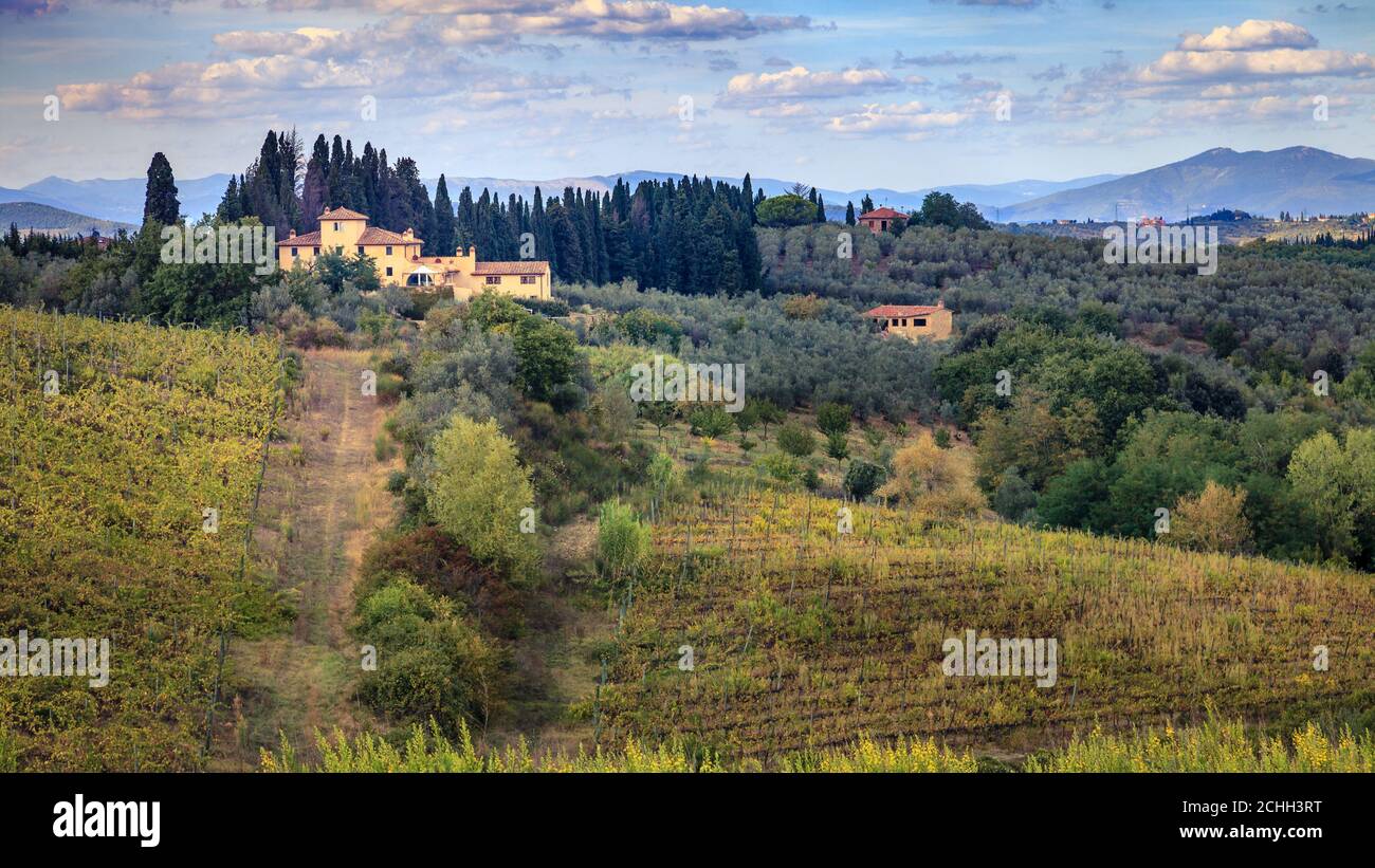 Scenic view of hills and vineyards in Tuscany, Italy Stock Photo