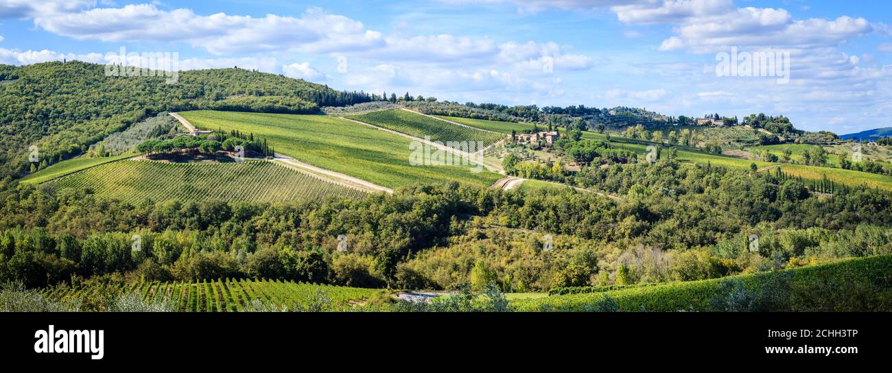 Scenic view of hills and vineyards in Tuscany, Italy Stock Photo