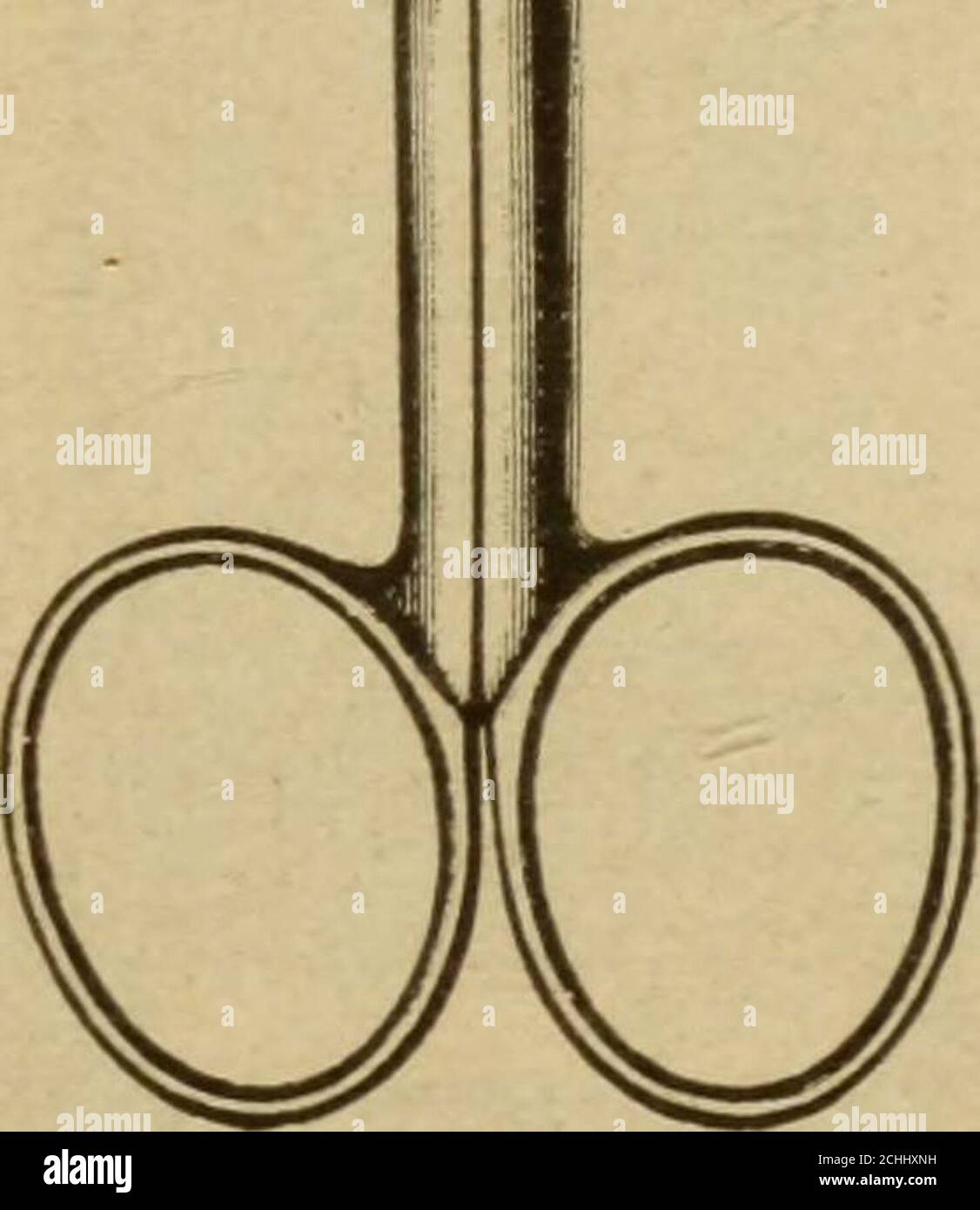  Illustrated Catalogue Of Surgical Instruments And Of Allied Lines