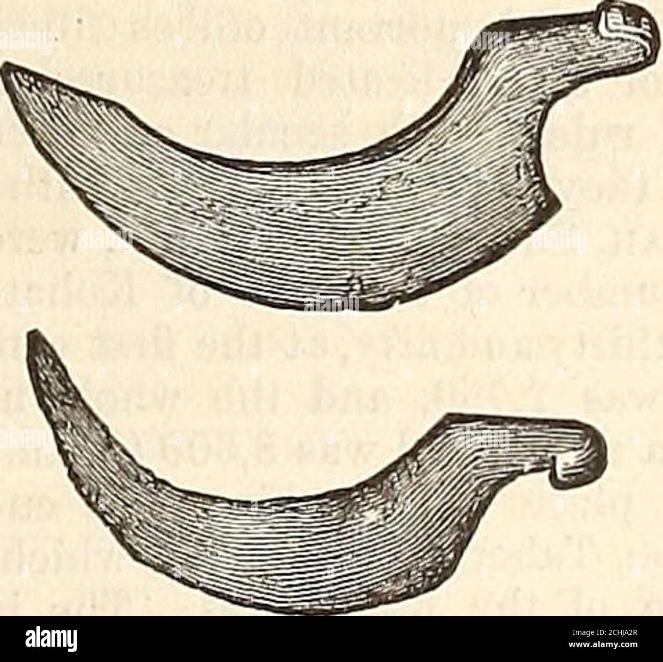 . A comprehensive dictionary of the Bible . X, 2. Egyptian Flint Knives