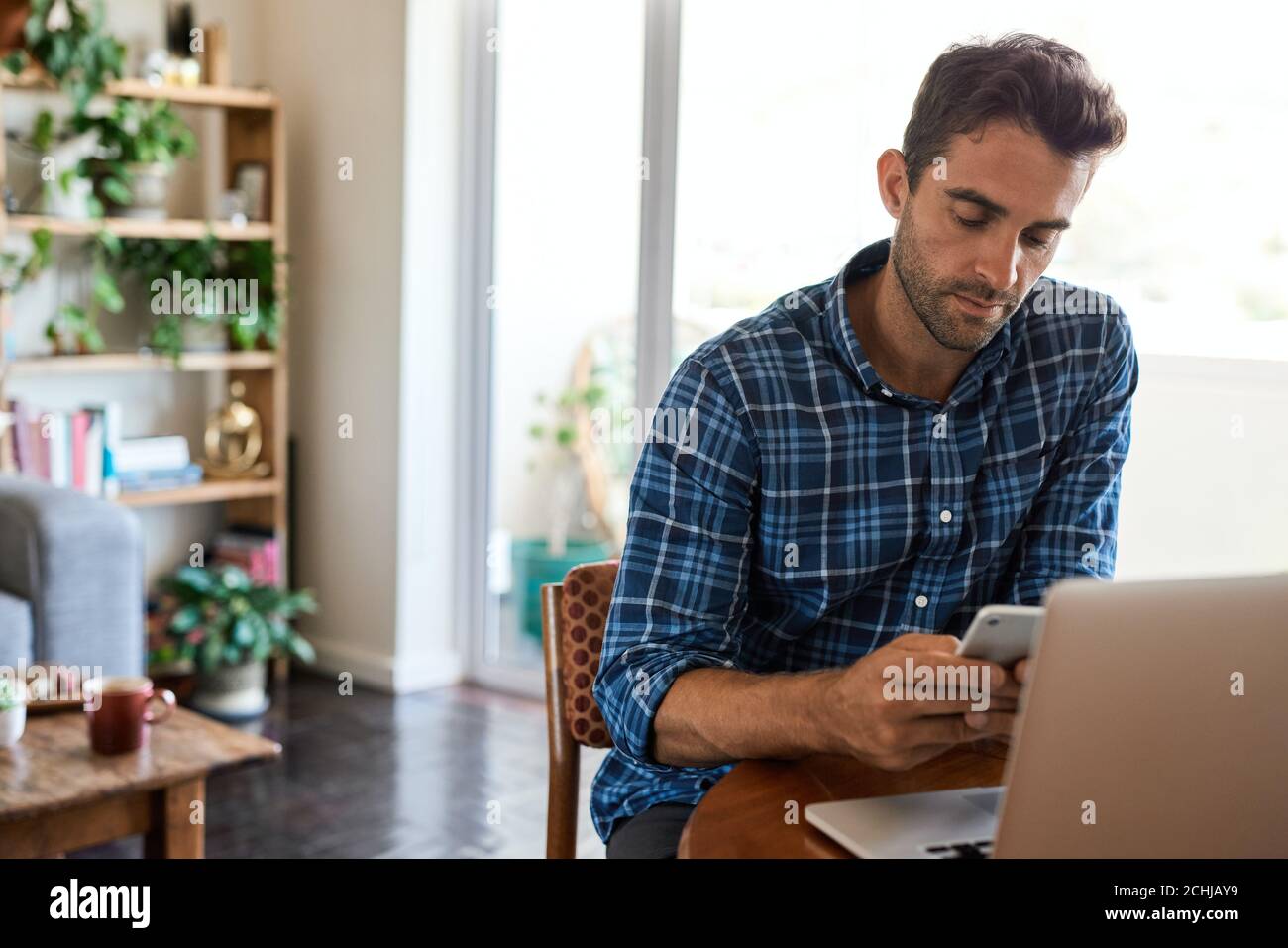Young man checking his cellphone while working from home Stock Photo