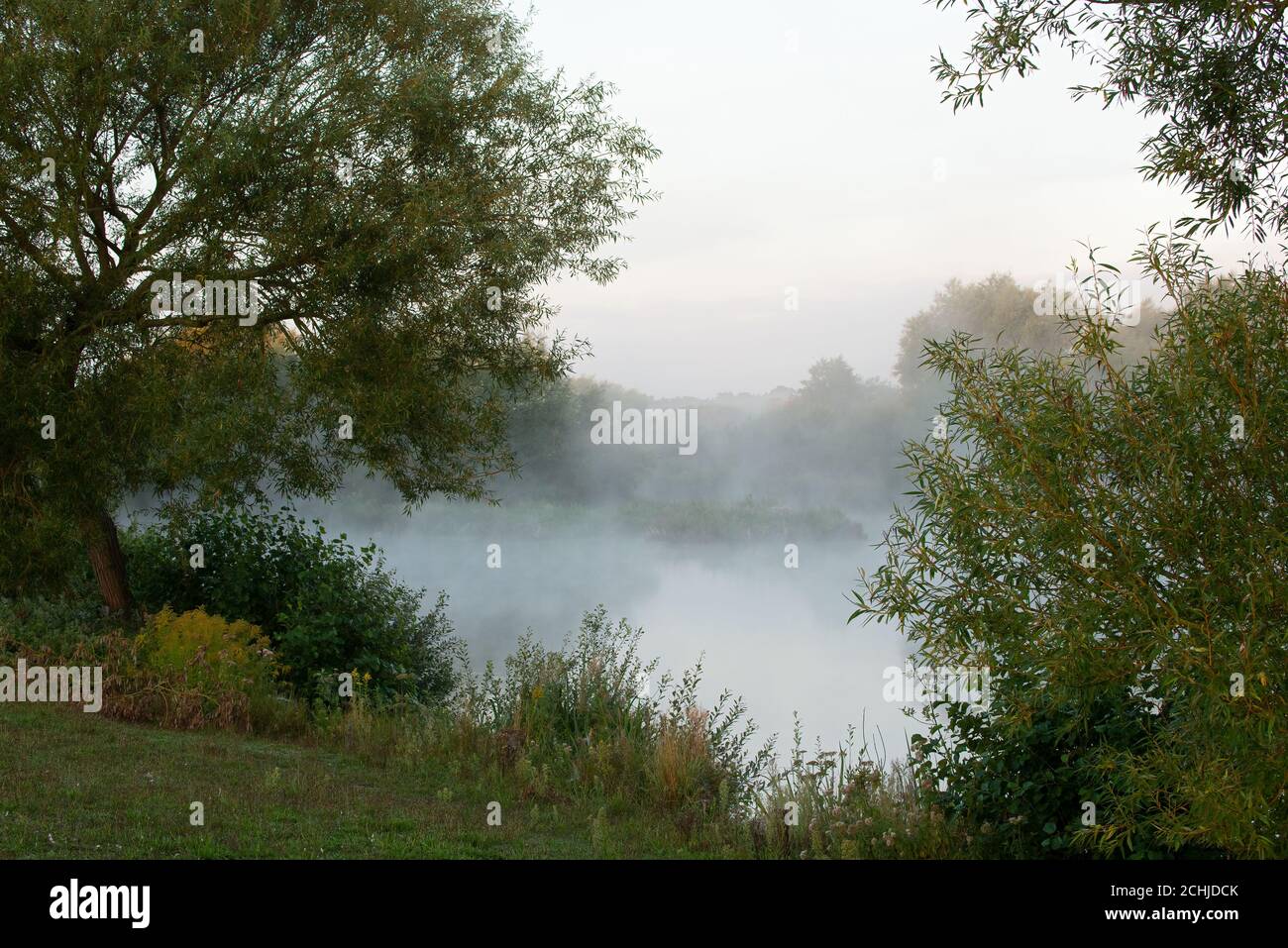 Peaceful early morning mist over lake. Stock Photo