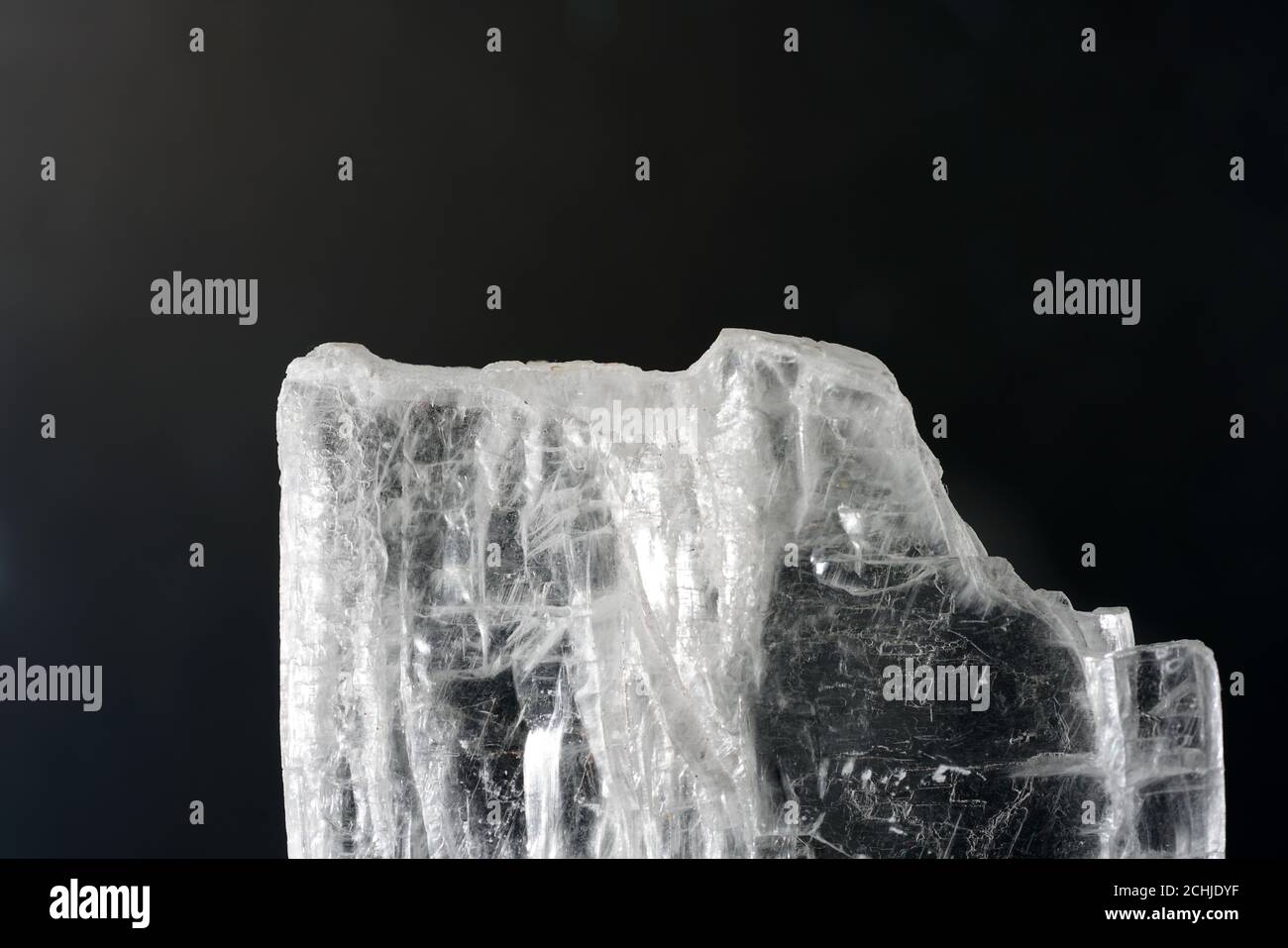 Closeup natural shot hi-res stock photography and images - Alamy