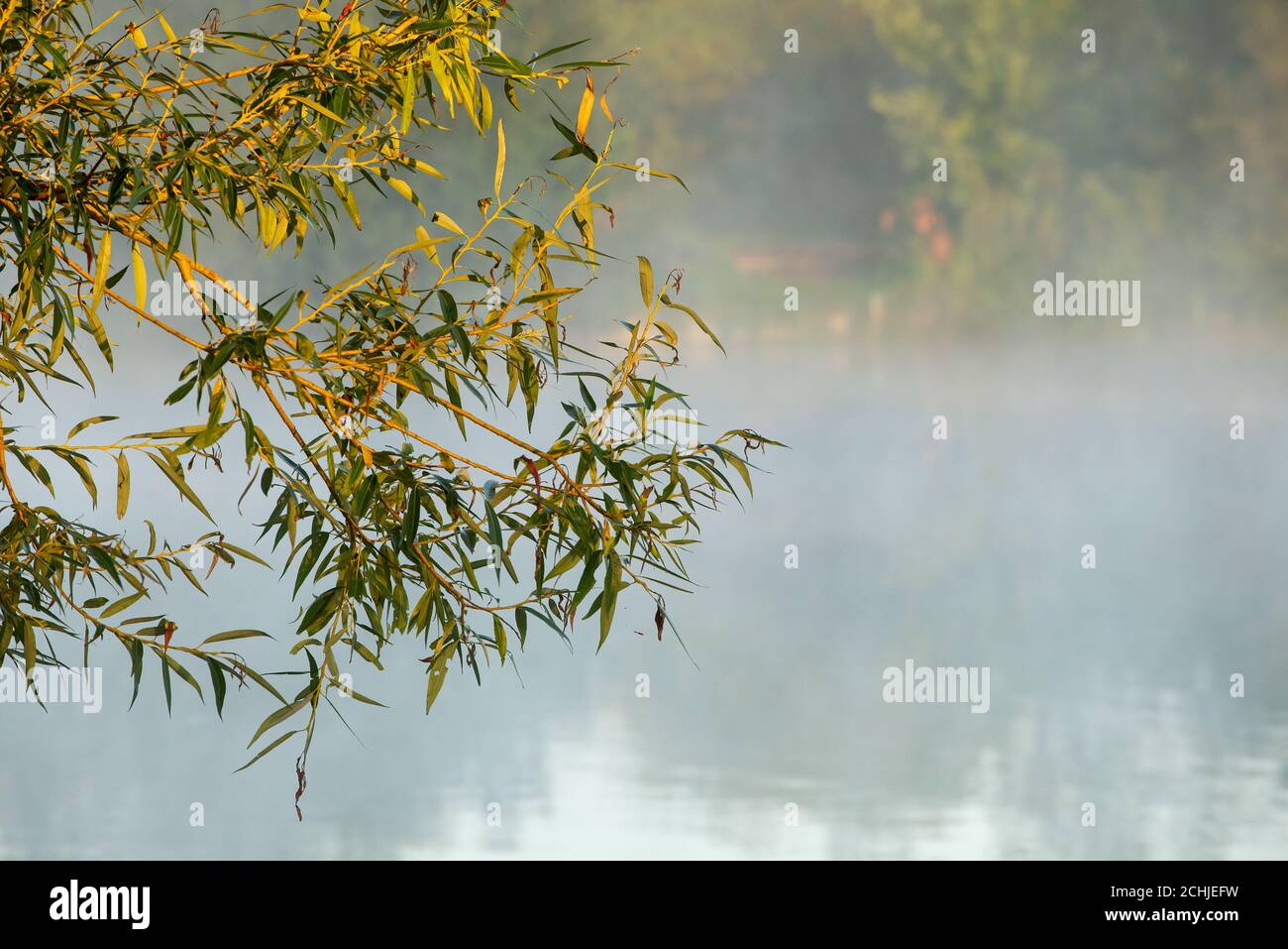 Peaceful early morning mist over lake. Stock Photo