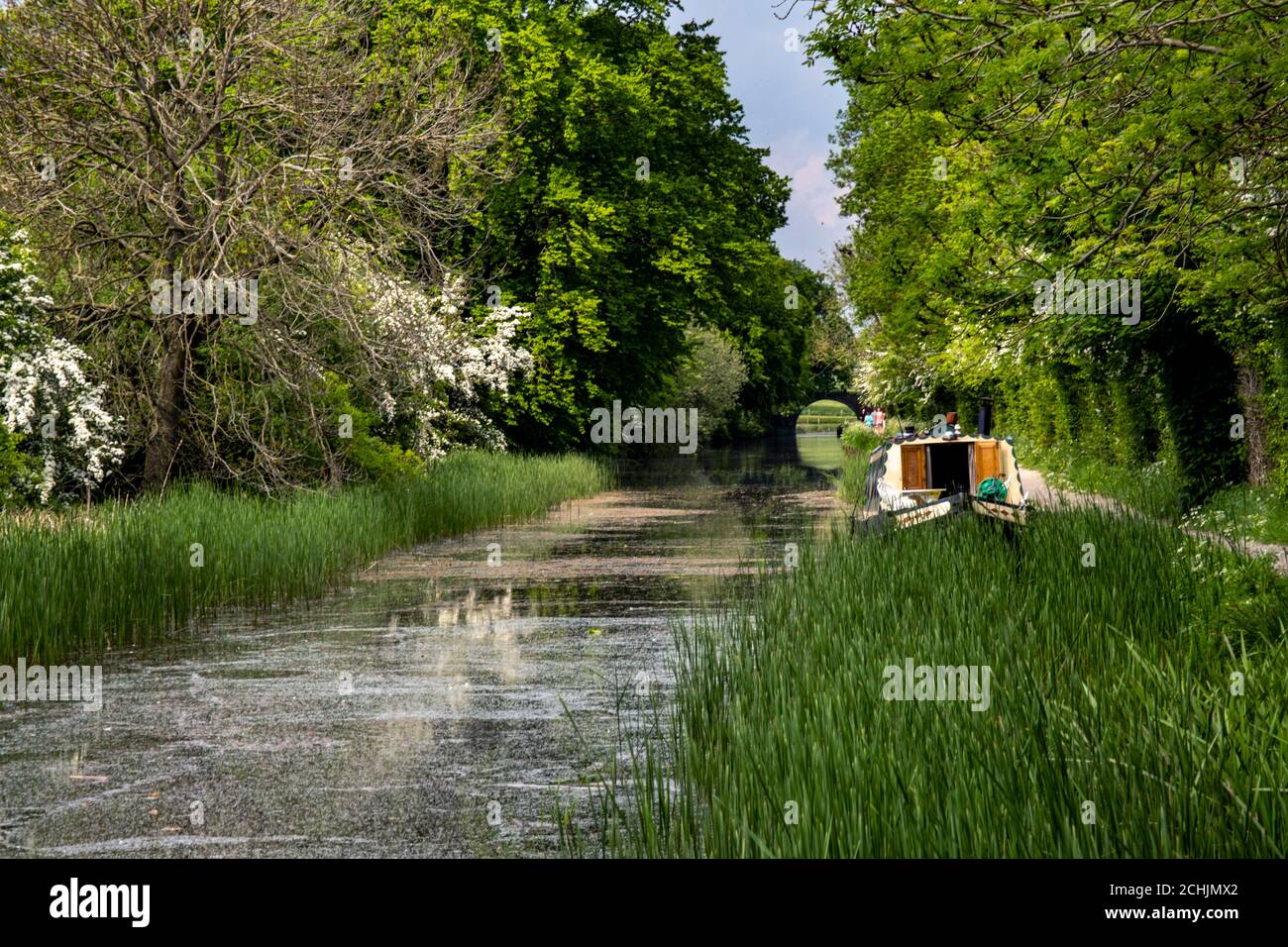 A barge or narrowboat on the Leicester Line of the Grand Union Canal near Foxton Locks, Leicestershire, England, UK Stock Photo