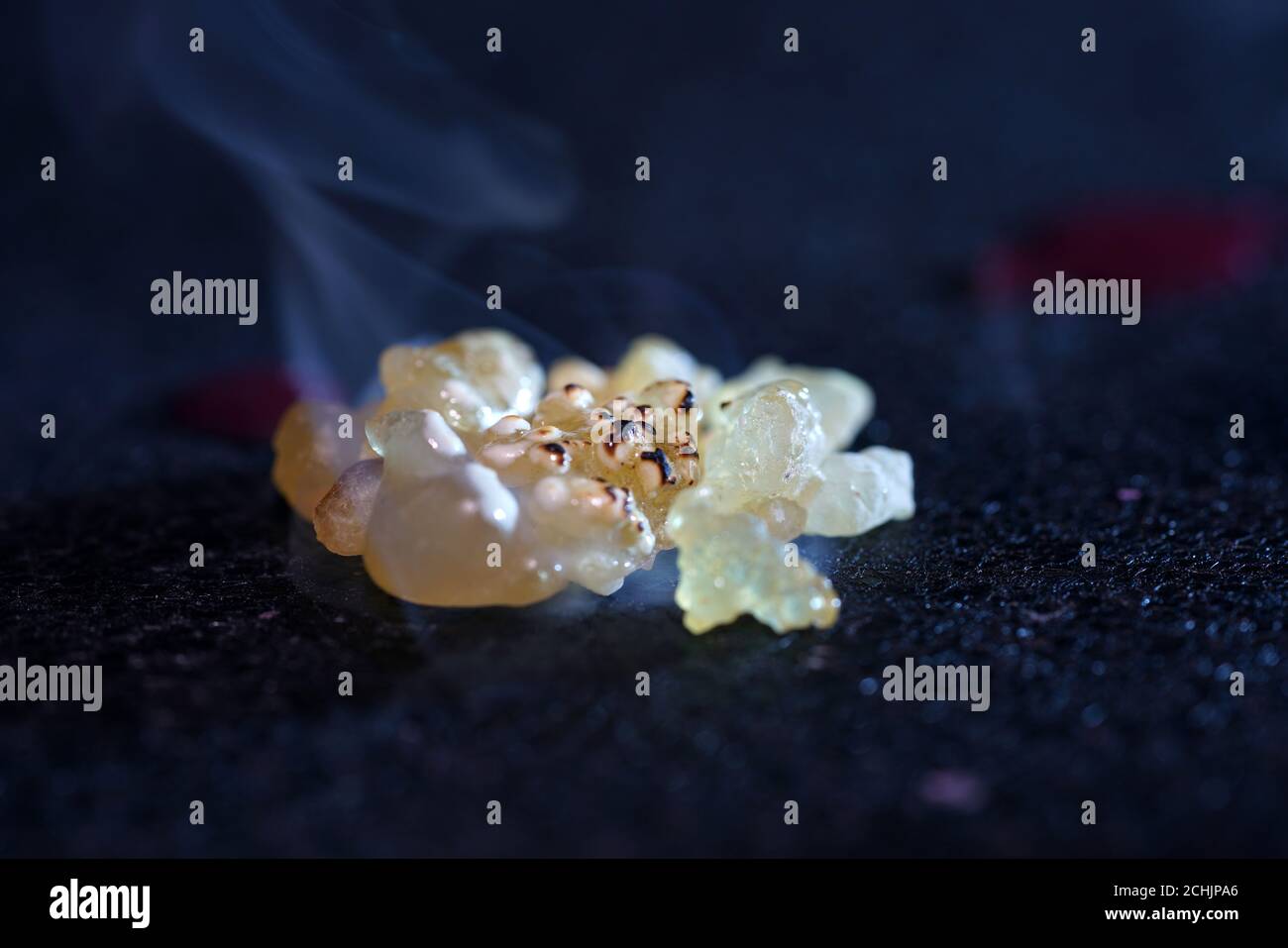 Closeup natural shot hi-res stock photography and images - Alamy