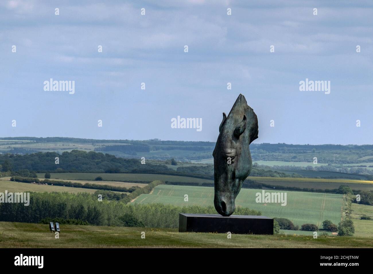 Bronze horses head sculpture Still Water by Nic FiddianGreen, in the grounds of Nevill Holt
