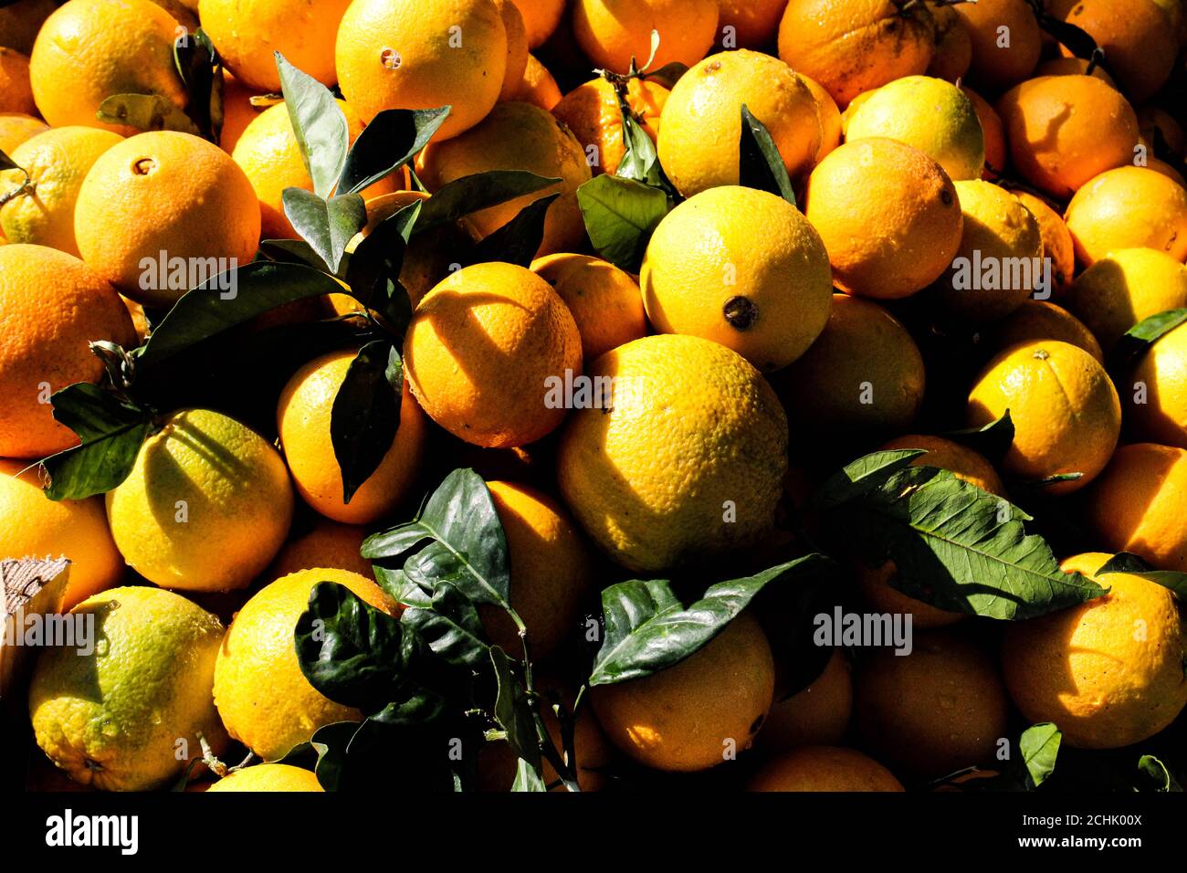 Fresh oranges on display at farmers market Stock Photo