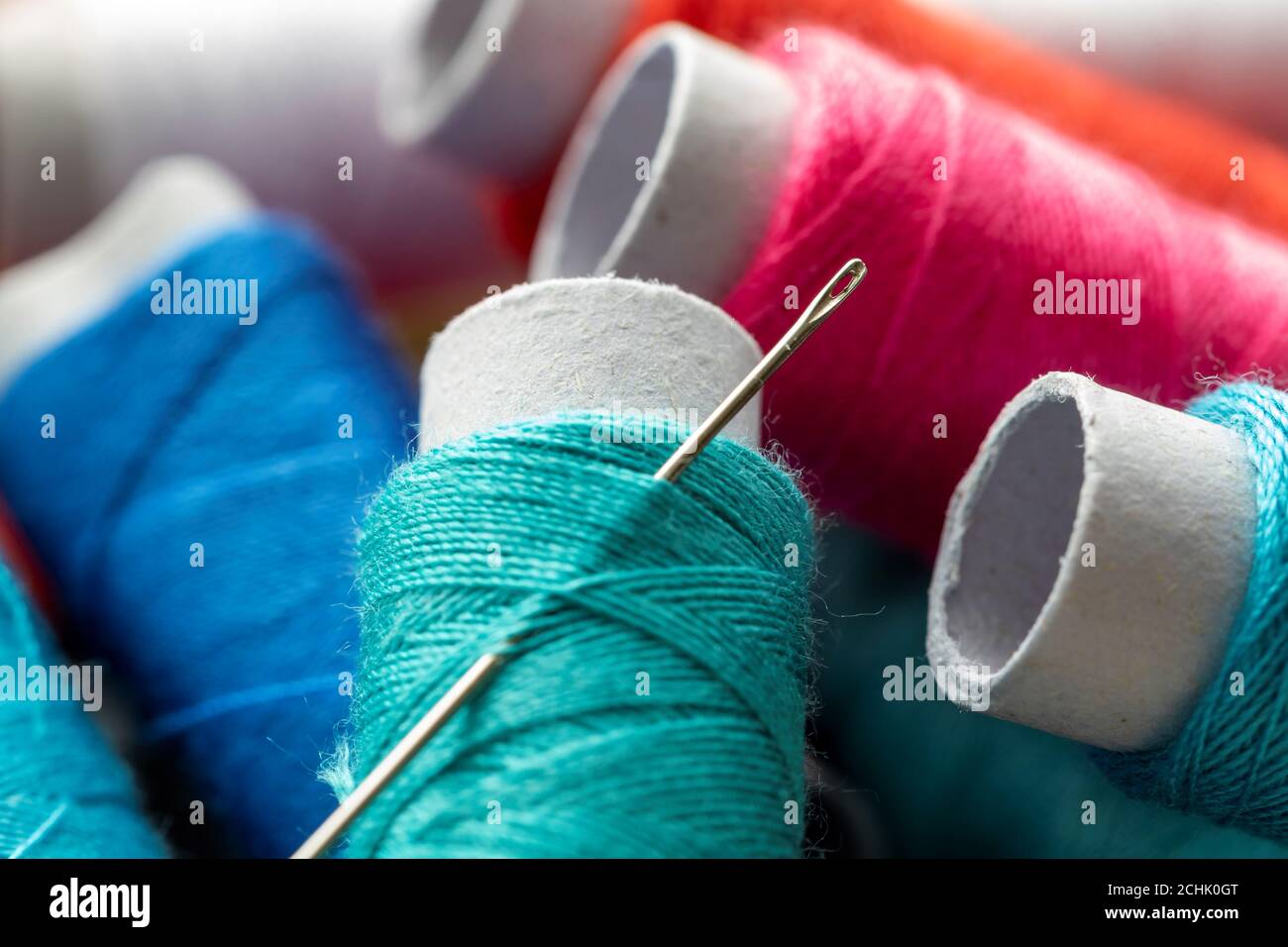 A portrait of a sewing needle stuck in a roll of thread. The spool of