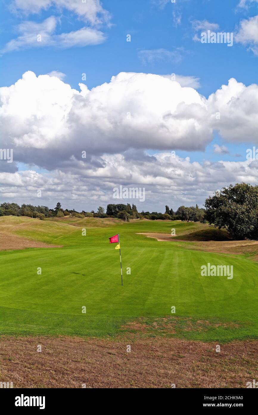 An empty green on Sunbury golf course, Shepperton Surrey England UK Stock Photo
