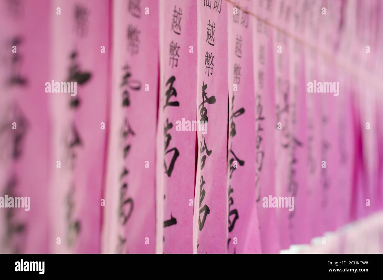chinese transcripts pink Stock Photo