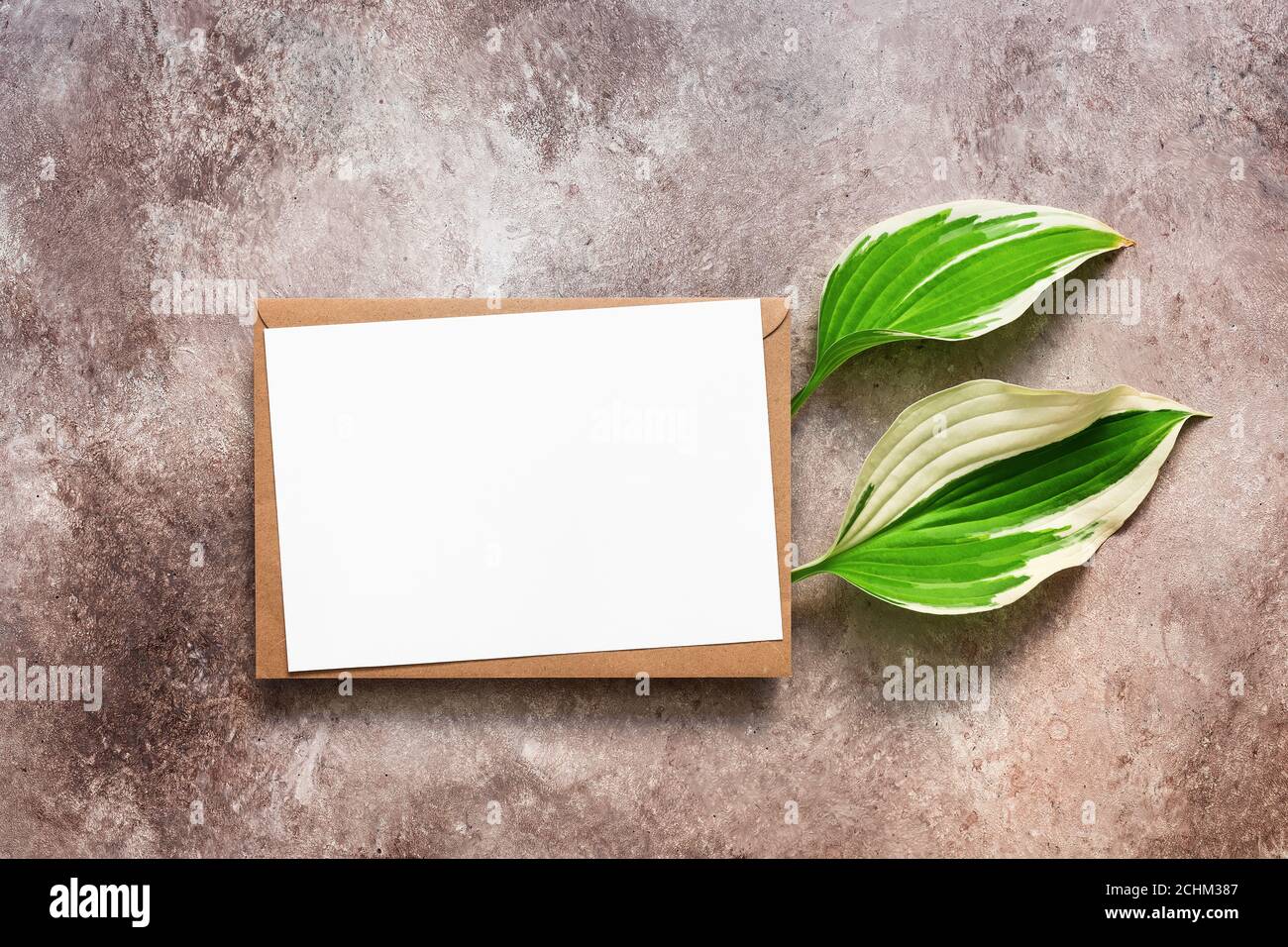 Download Green Company Business Card High Resolution Stock Photography And Images Alamy