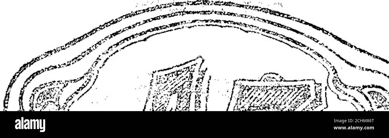 . Boletín Oficial de la República Argentina. 1917 1ra sección . mñ. ám ;«¿sá¡^ «iHSl^/^1 yin ^■^^éwm *--*^- « - t^ee ye— gas - íva Vír: ■A K ?ADA Eniti Í9í /.)rt¡to v ! nardo T:e n oila forma (!. de c raiía o  nta N . ••- Para distinguir caucho, gomaprcpararYm y artículos fabricados coneacrncldad. de la ciase 17. v-29 cuero.5Ei I ™ °™ Acia N 55ÍM7. Stock Photo