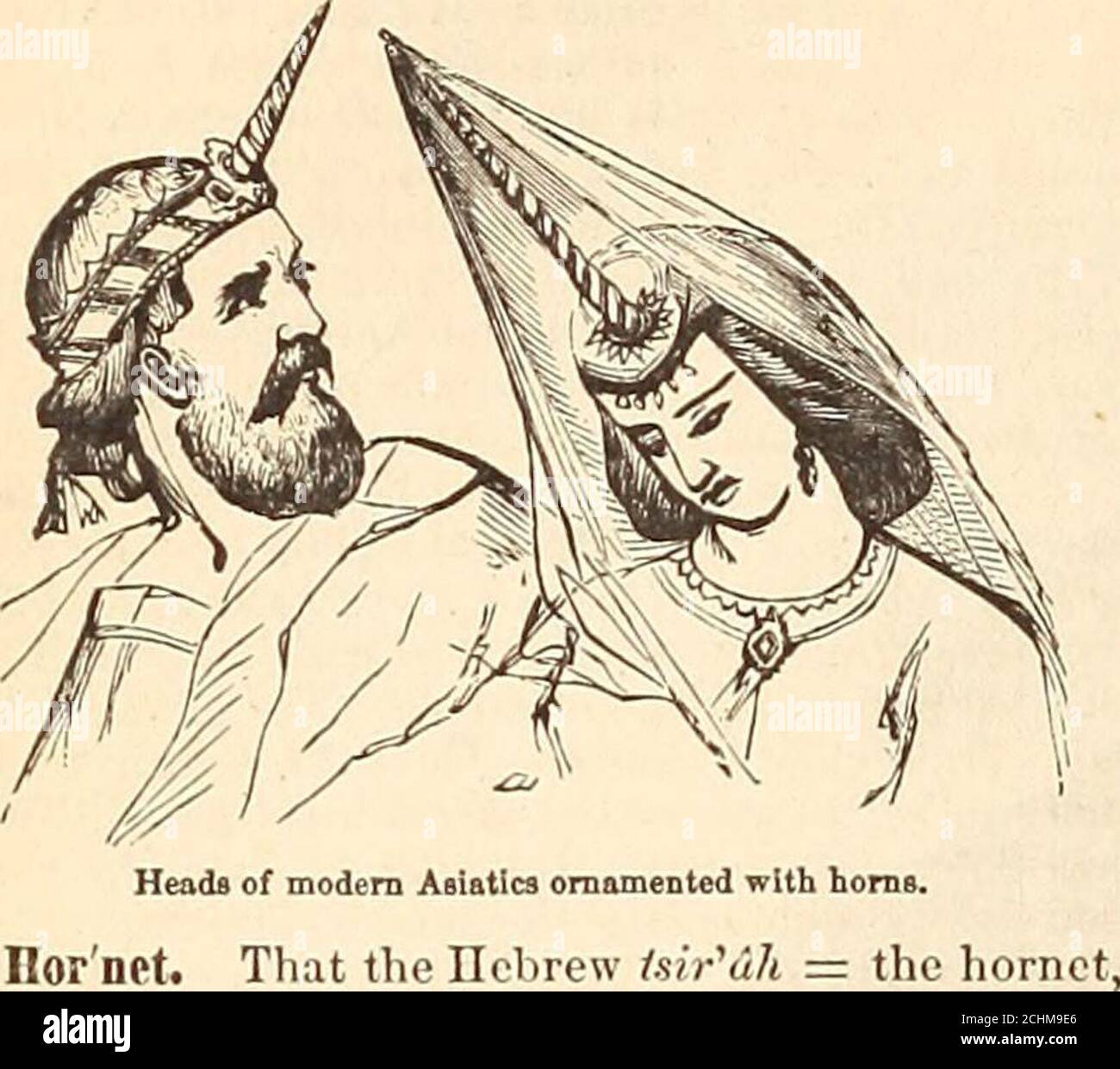 . A comprehensive dictionary of the Bible . f horn,but to have been metallic projections from thefour corners. The peak or summit of a hill wascalled a horn (Is. v. 1, margin). In Hab. iii. 4 horns coming out of his hand = rays of light. 2. From similarity of position and use. Two pr in-cipal applications of this metaphor will be found—strength and honor. Of strength the horn of theunicorn was the most frequent representative (Deut.xxxiii. 17, &c), but not always; compare 1 K. xxii.11, where probably horns of iron, worn defiantlyand symbolically on the head, are intended. Amongthe Druses upon Stock Photo