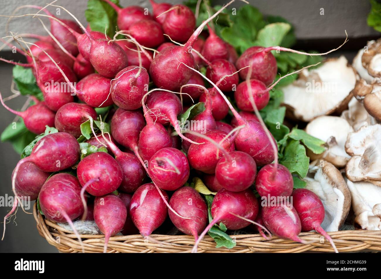 �騢�����Դǲ� Stock Photo