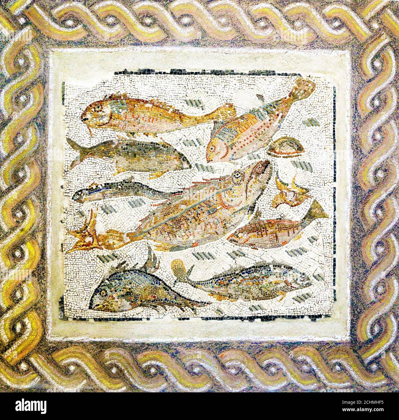 Ancient roman mosaic with different fish Stock Photo