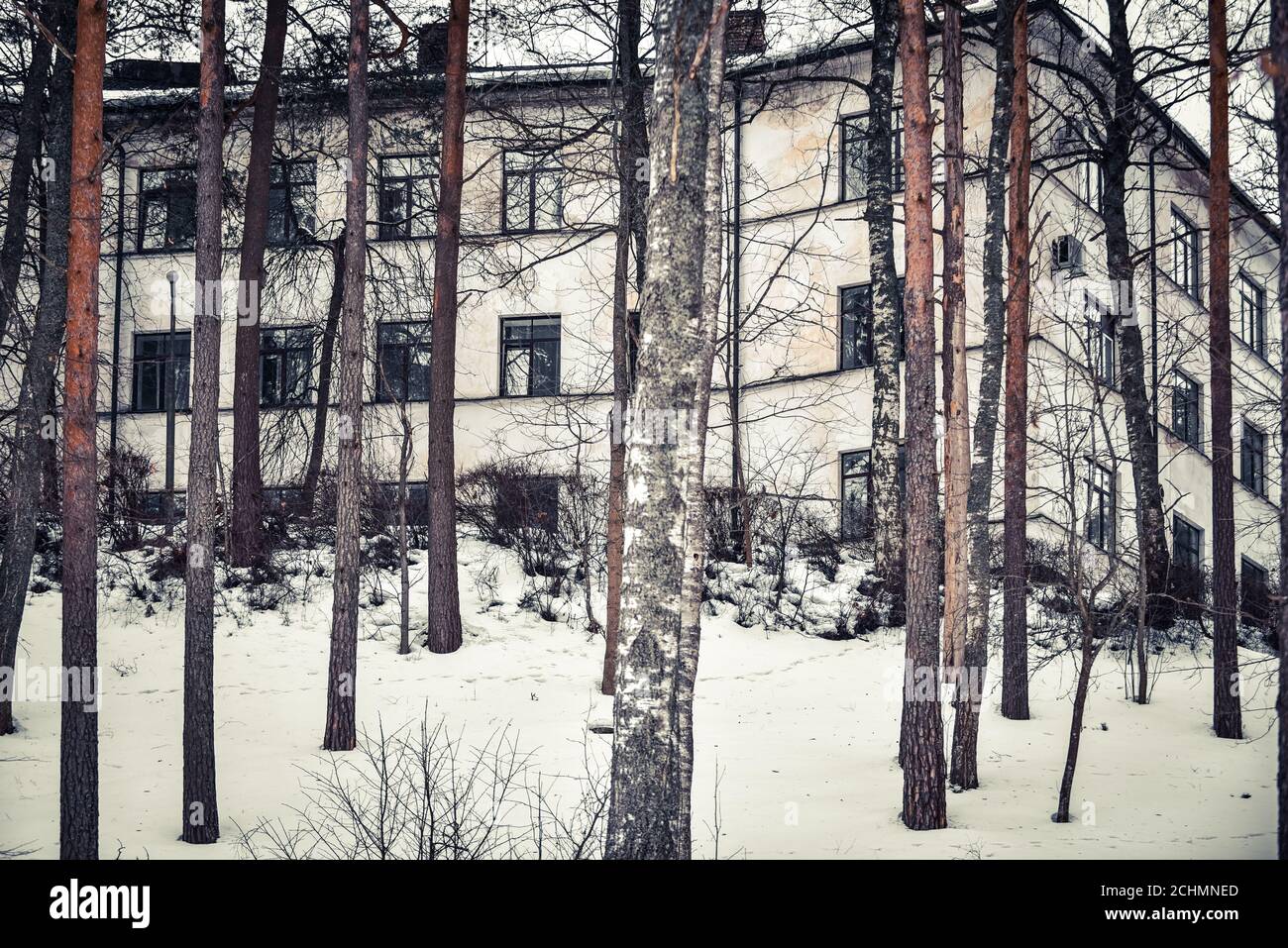 White house hidden behind trees hi-res stock photography and images - Alamy