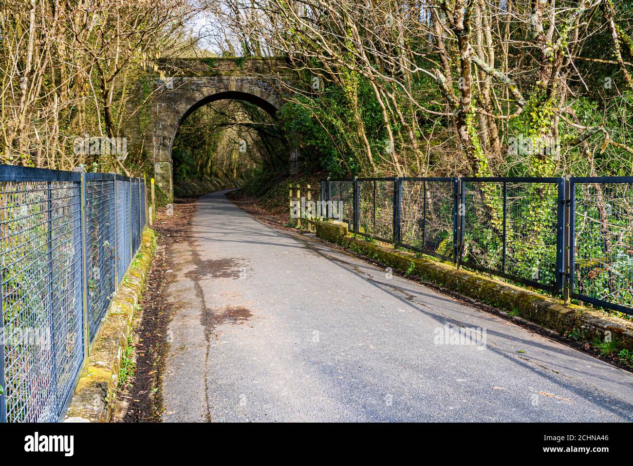 Tarka Trail View: Looking From the Iron Bridge at Beam Weir Under the
