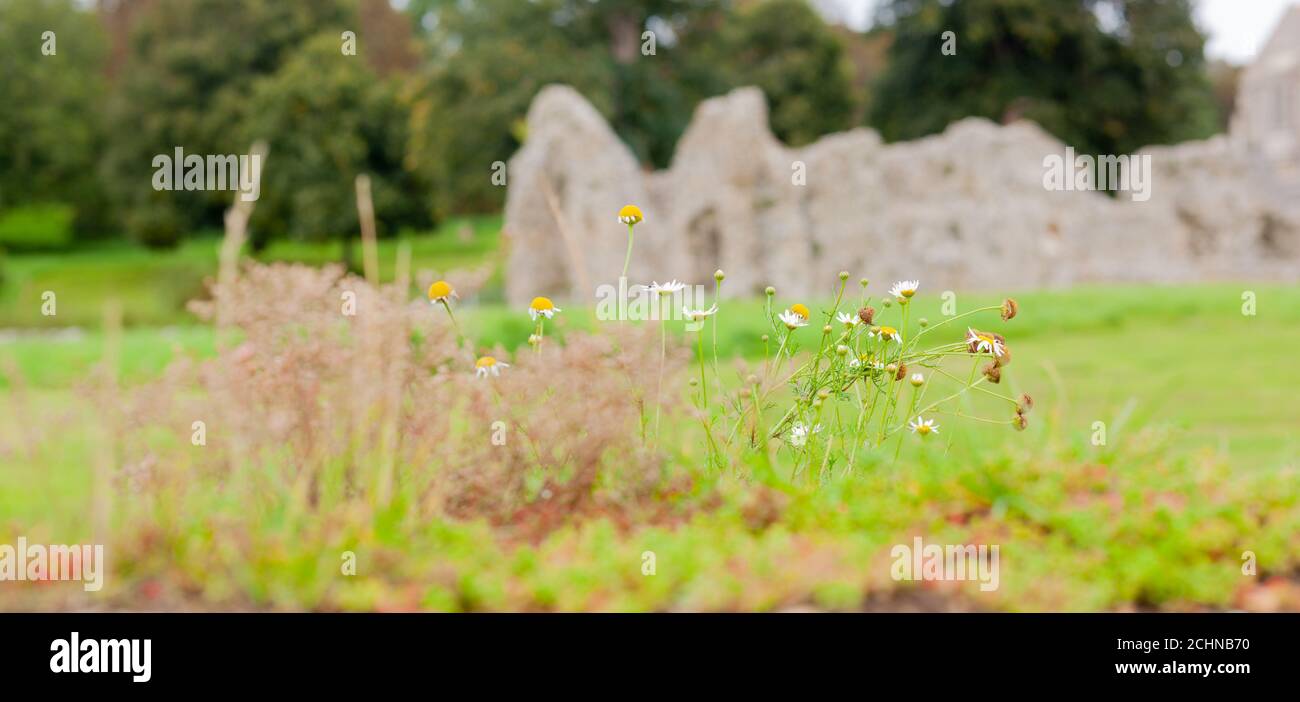 Warenne Cluniac Priory Castle Acre High Resolution Stock Photography ...