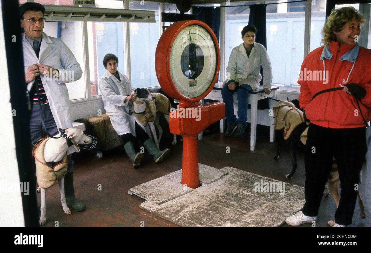 Brent Walker Hackney Greyhound racing stadium London UK. William Hill