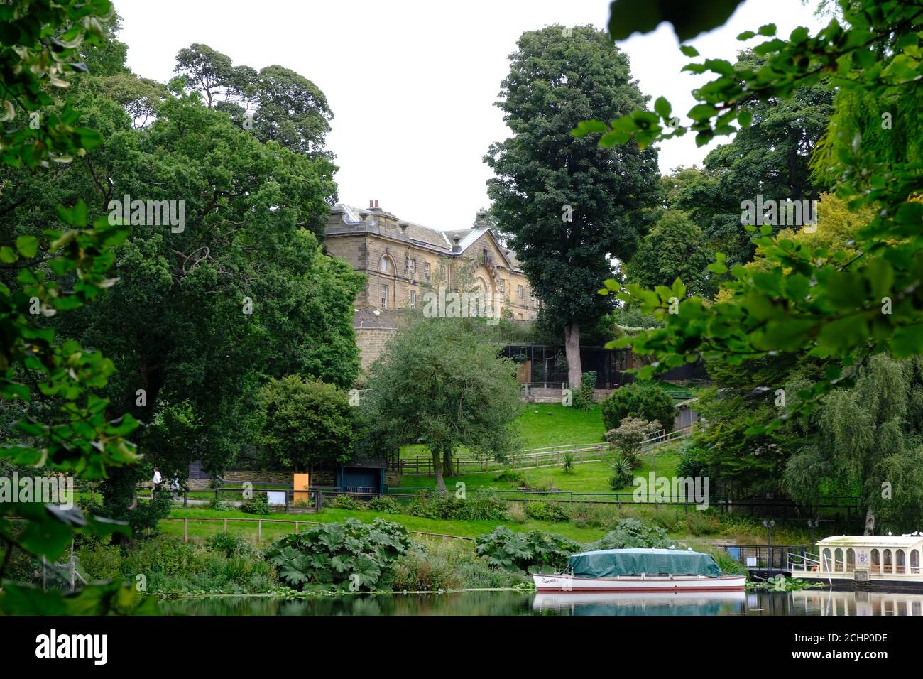 Harewood House, Gardens, Walled Garden Woodland Walk Buddhist Willow