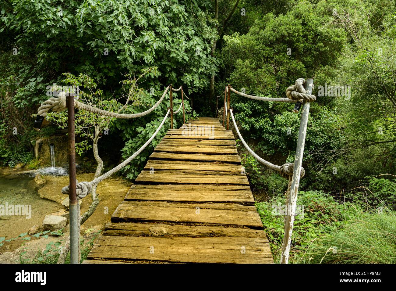Wooden bridge in nature Stock Photo - Alamy