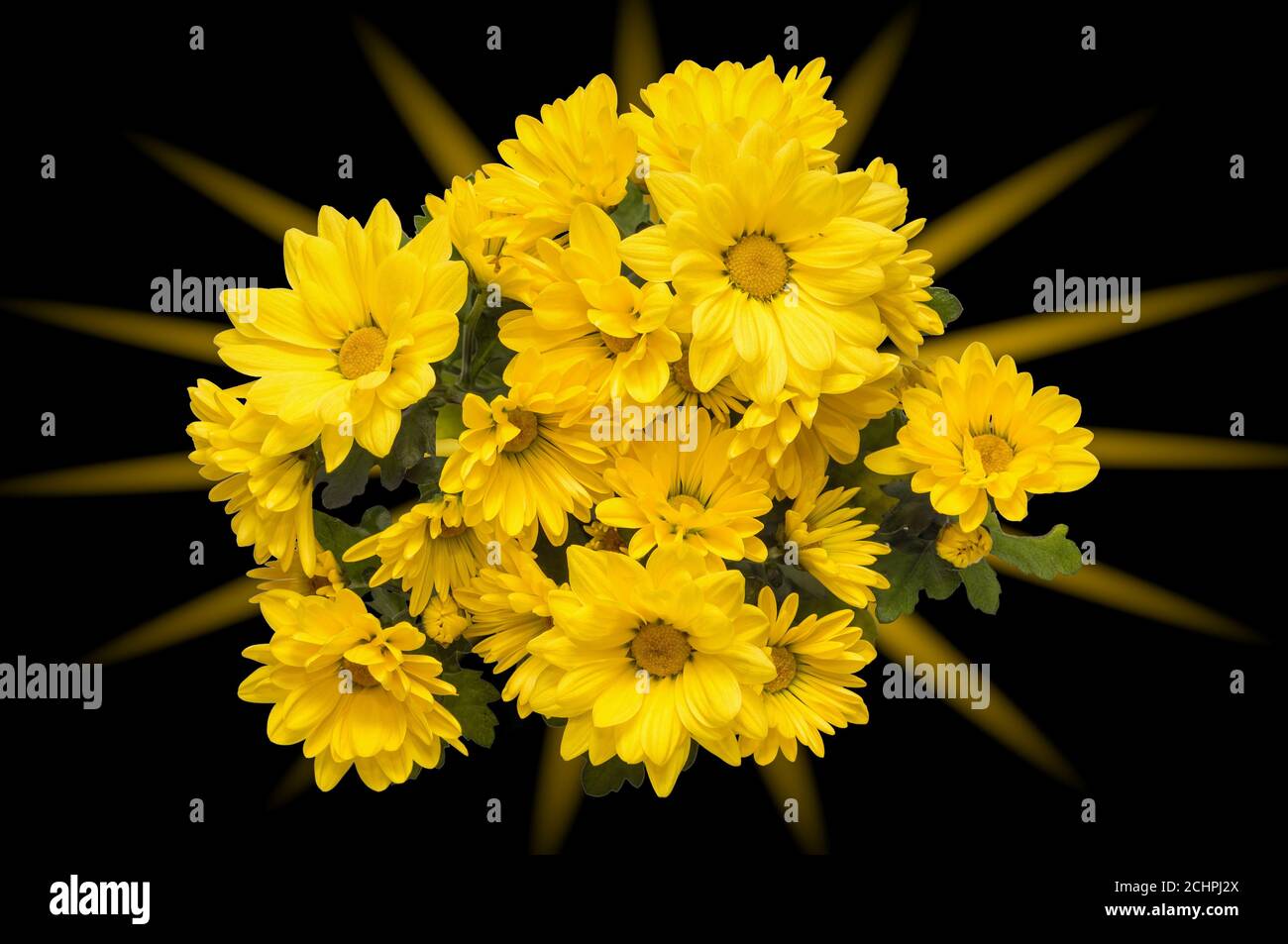 abstract wallpaper, background with a bouquet of yellow flowers
