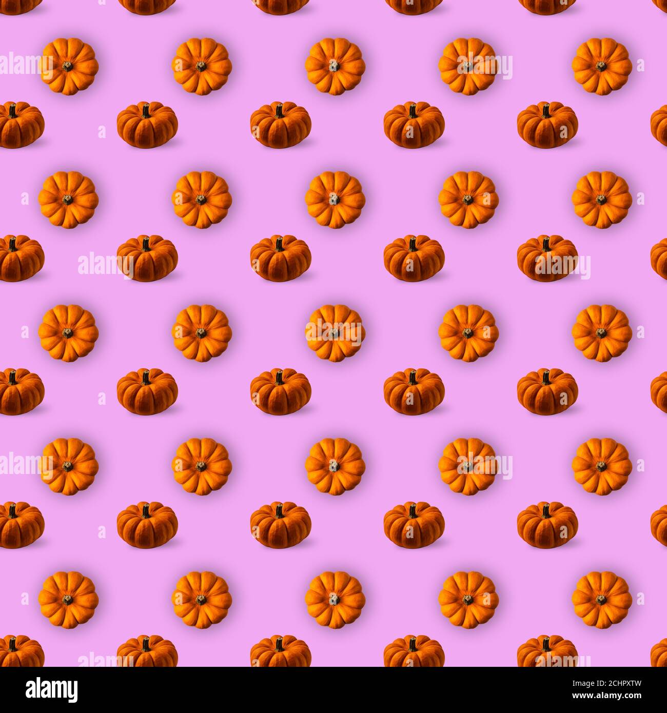 Seamless pattern with bright orange and brown round textured pumpkins on pink background. Directly above and high angle view on pumpkins. Stock Photo