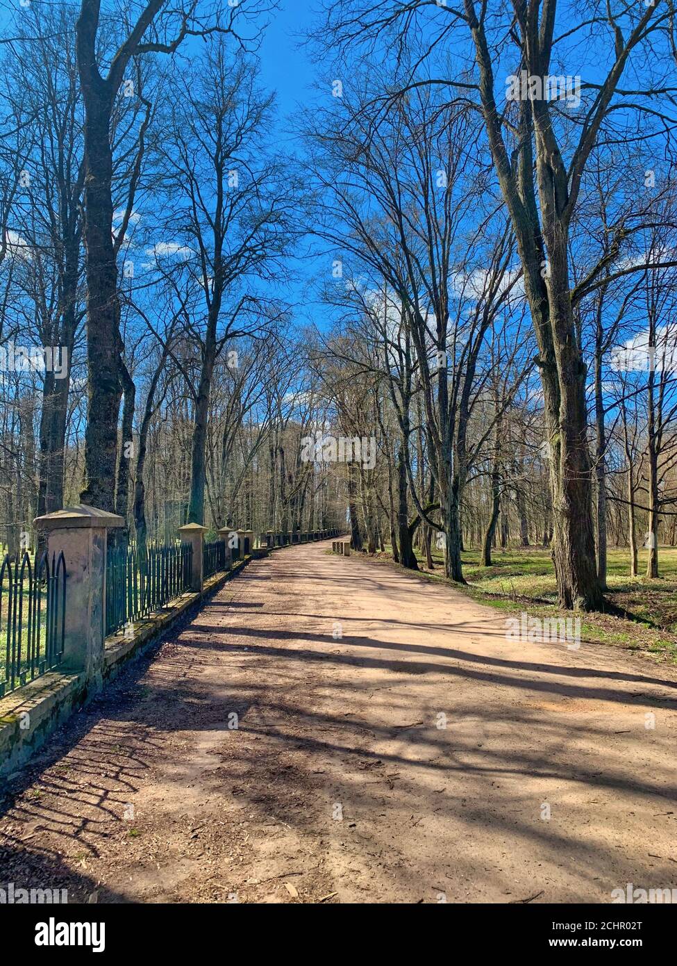 Vertical shot park path hi-res stock photography and images - Alamy
