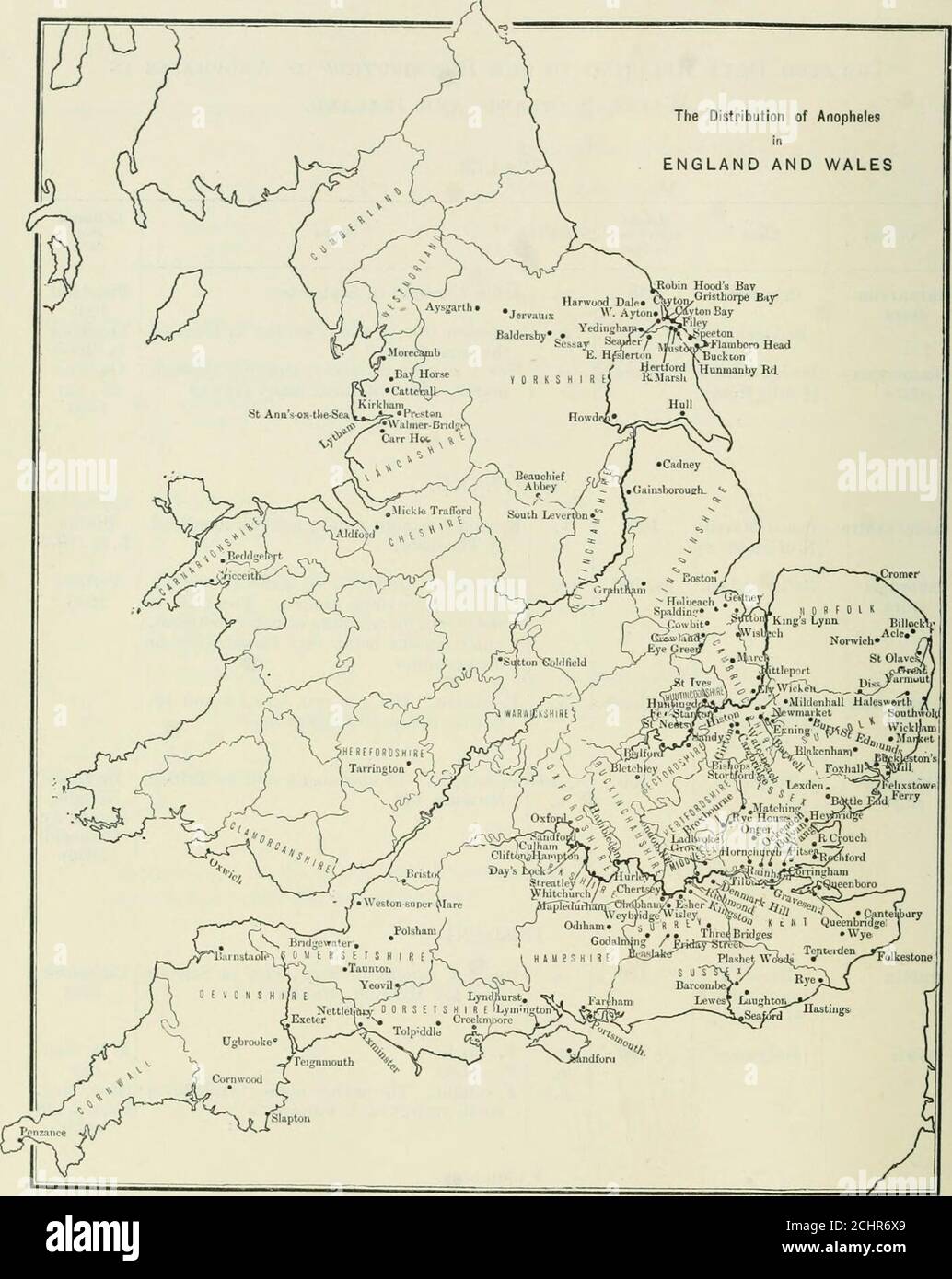 . The Journal of hygiene . gh Gardner shire (^ mile from) marsh, and containing many prawns 25 . VIII1900 Lanarkshire Fossil Marsh(N. of Glasgow) Inverness-shire Sutherland Nethy Bridge The Mound (Junction for Domoch) Aberdeen- j Torphinsshire 100ca. 700 sea-level SCOTLAND. Several f. caught d and ? (species identifiedby Theobald) F. caught. One ? 22. vi, and two &lt;? 24. vi,on damp, swampy ground. Two ? 15. viand 9. vii, on windows of hotel verandah,Culex pipiens being very troublesome inthe evening F. caught. One ? 8. viii, two&lt;f 4 and 10.VIII, on damp, swampy ground 300 m. andb. F. caug Stock Photo